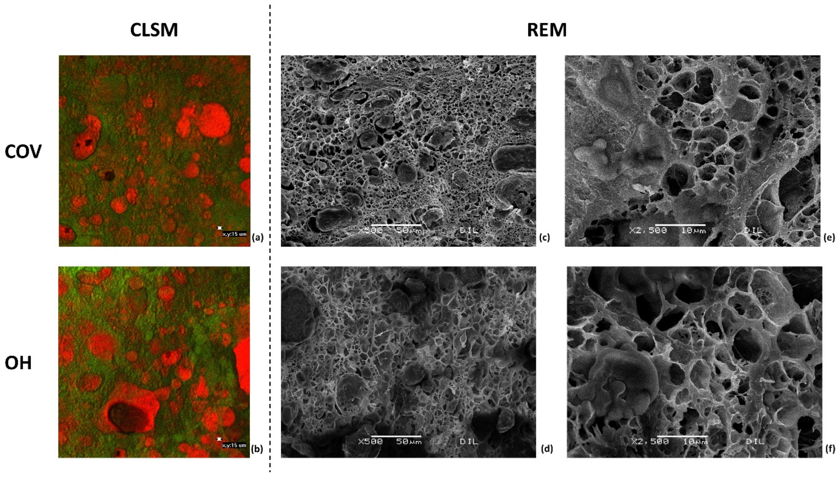 Applsci 14 05460 g005 Applsci 14 05460 g005