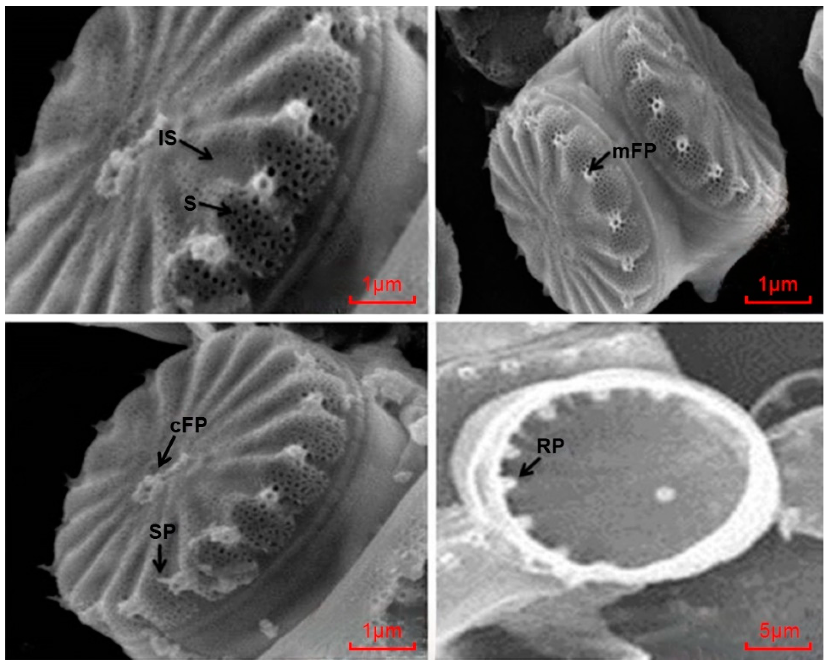 Applsci 14 05504 g002