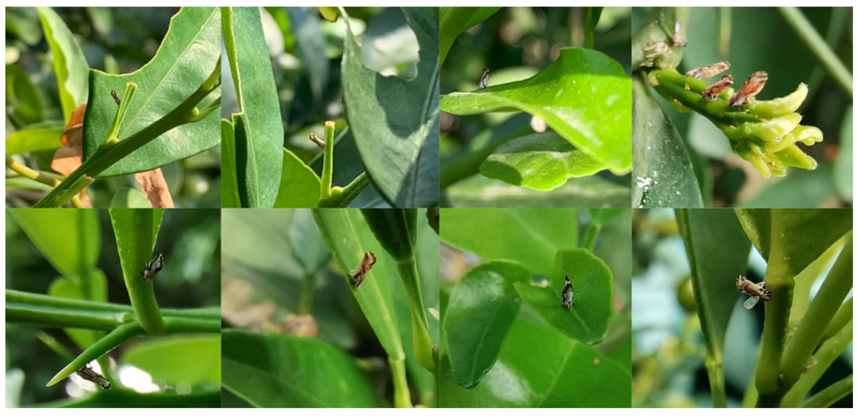 Applsci 14 05520 g002