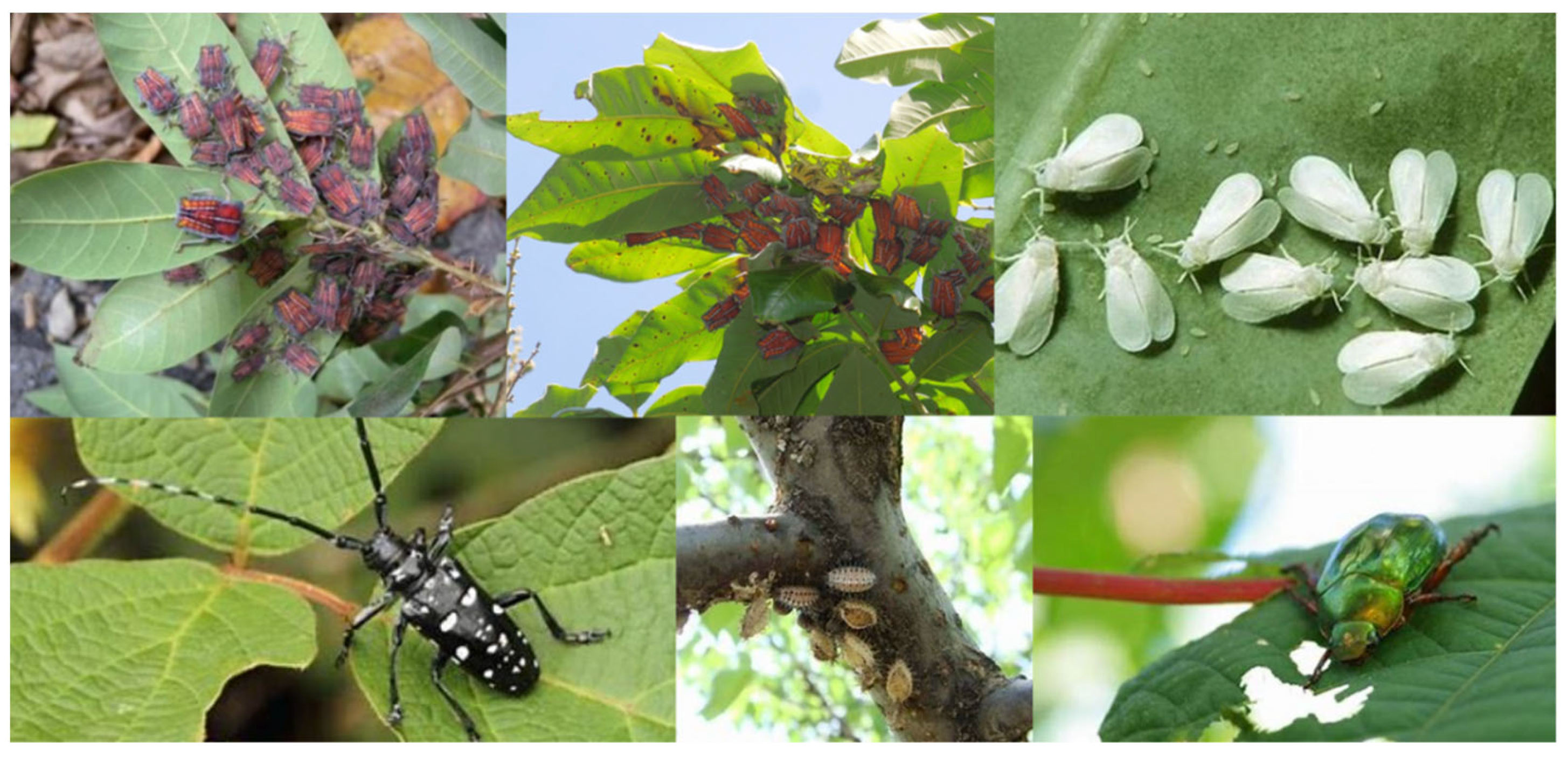 Applsci 14 05520 g003