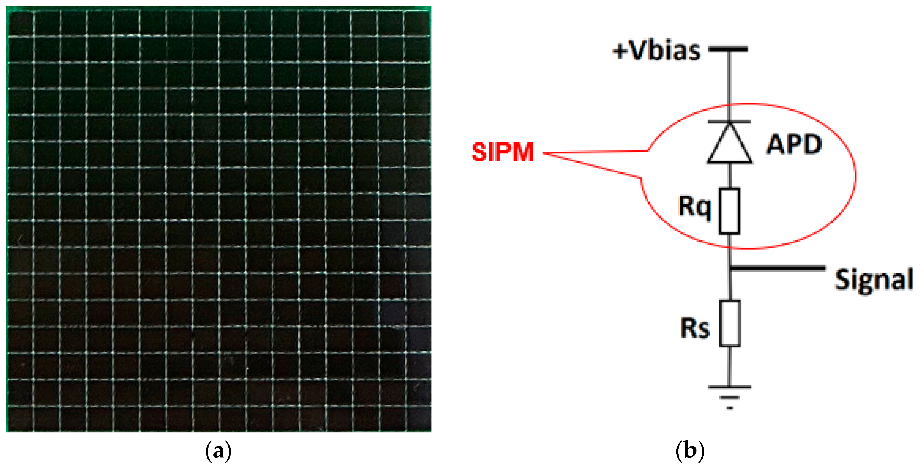 Applsci 14 05536 g006 Applsci 14 05536 g006