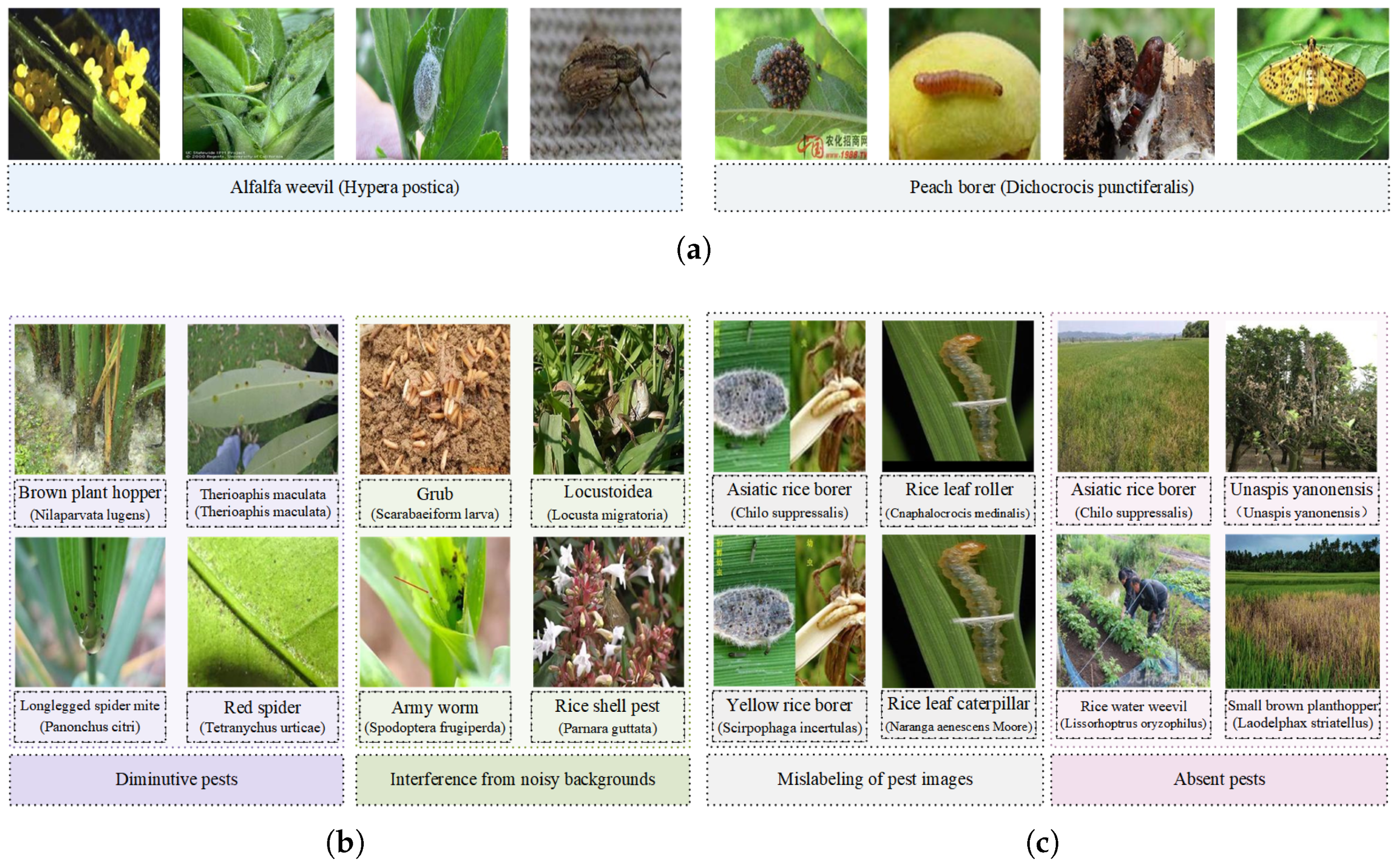 Applsci 14 05543 g006