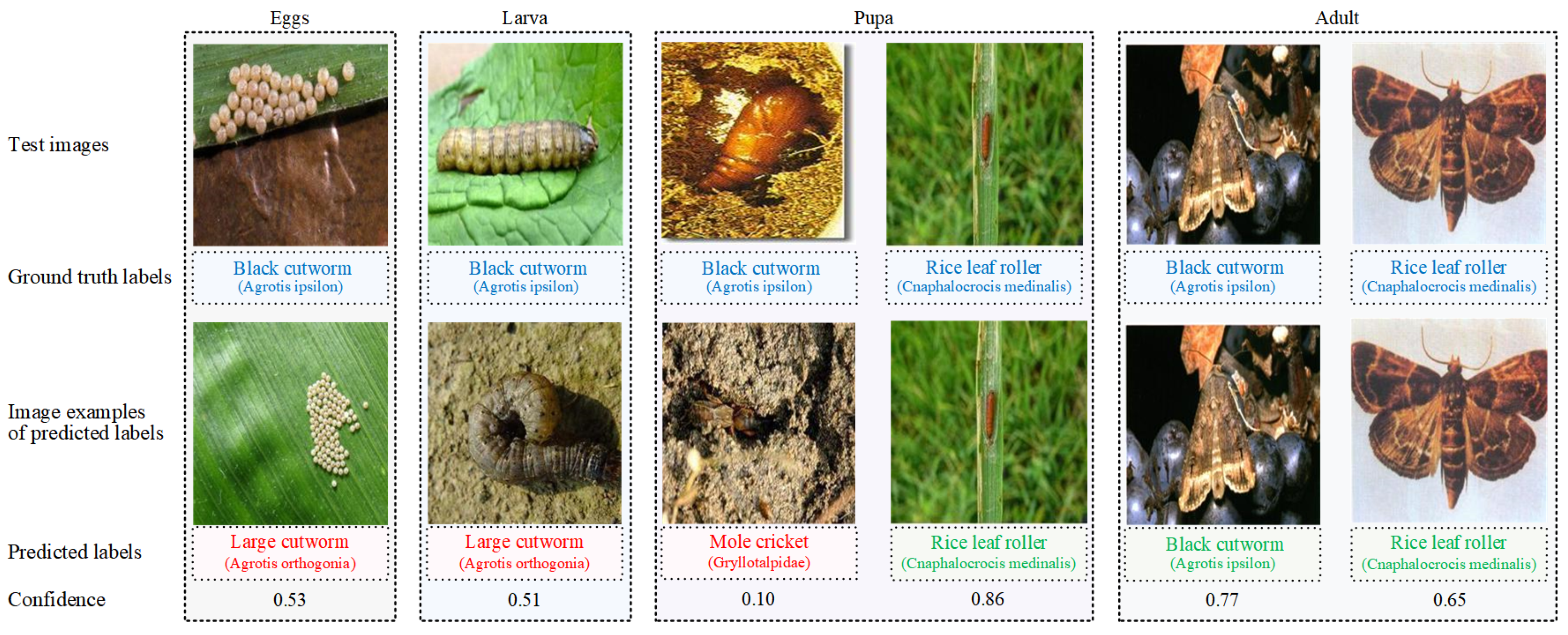 Applsci 14 05543 g008