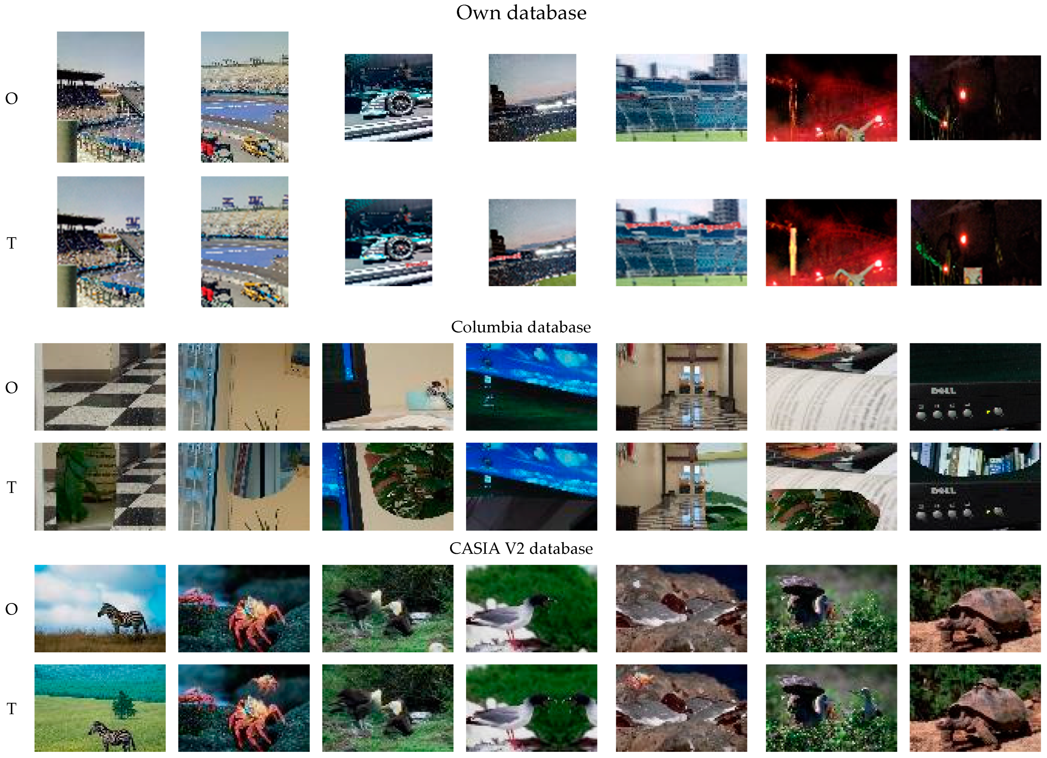 Applsci 14 05545 g004a