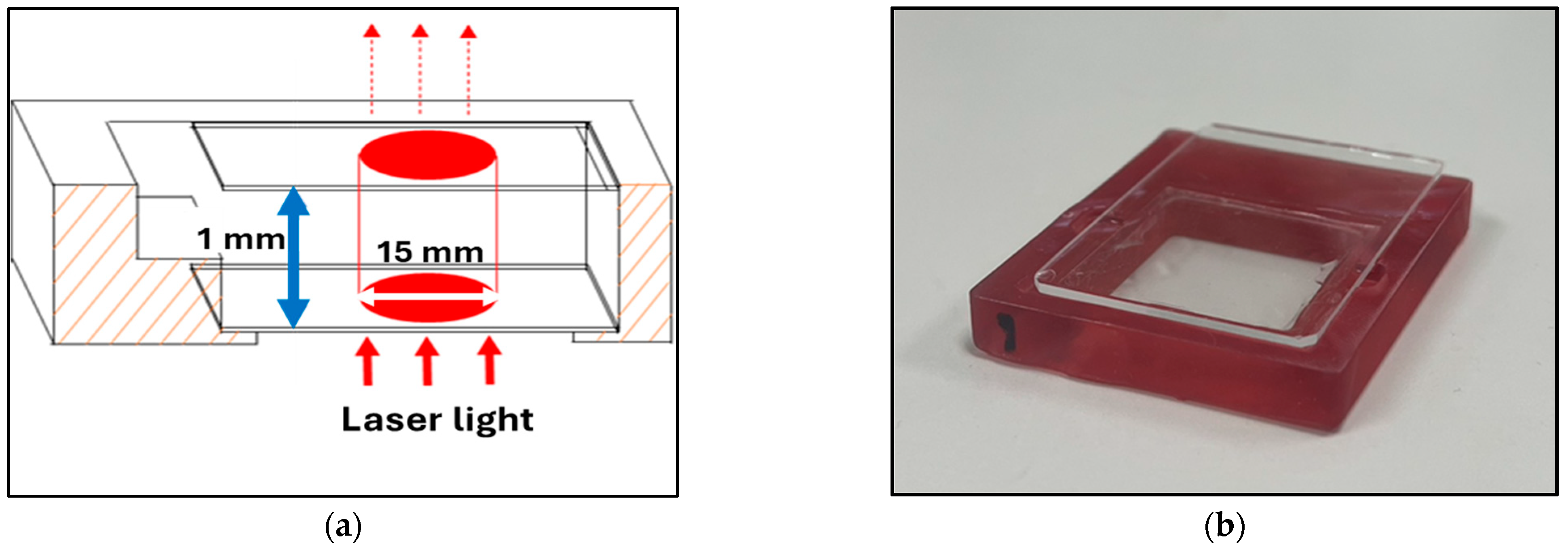 Applsci 14 05558 g001