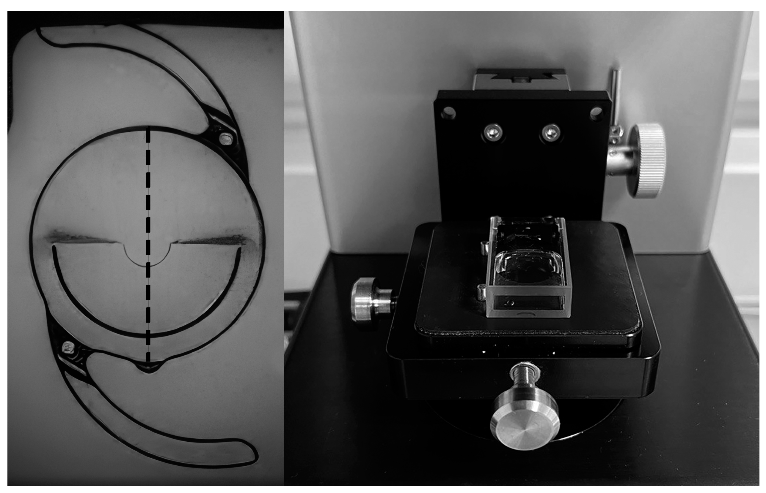 Applsci 14 05561 g001