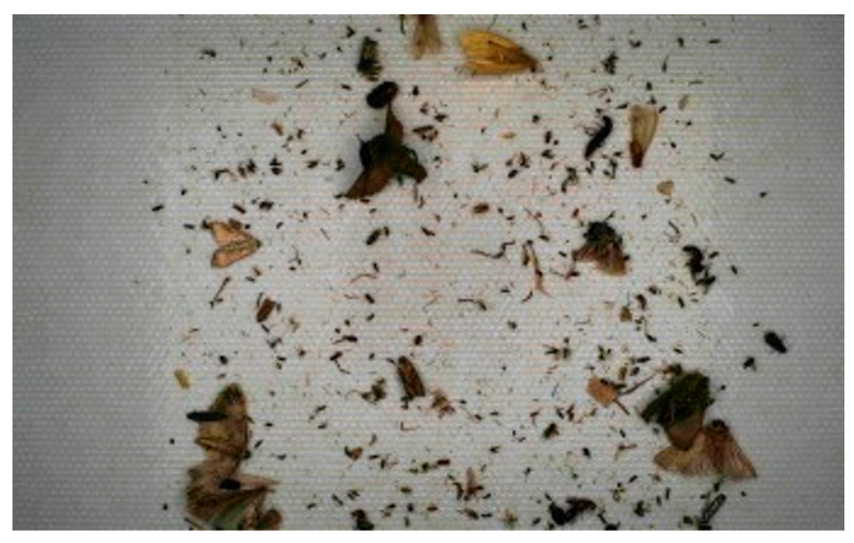 Applsci 14 05568 g004