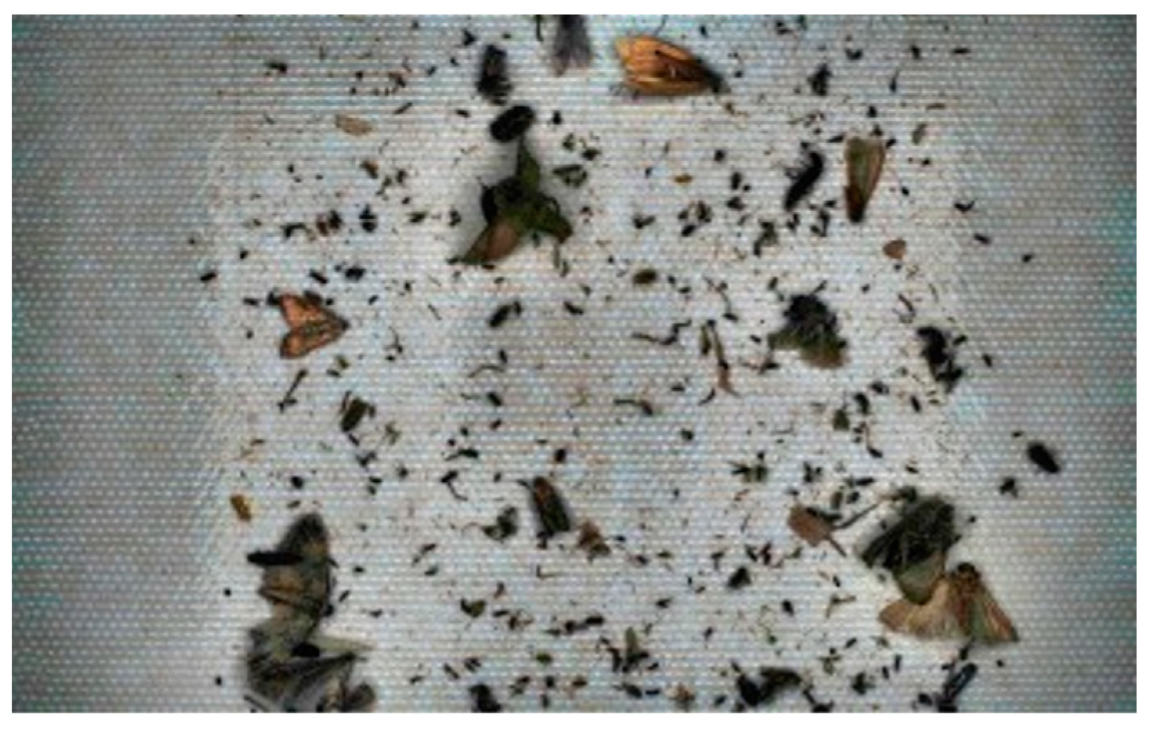 Applsci 14 05568 g005