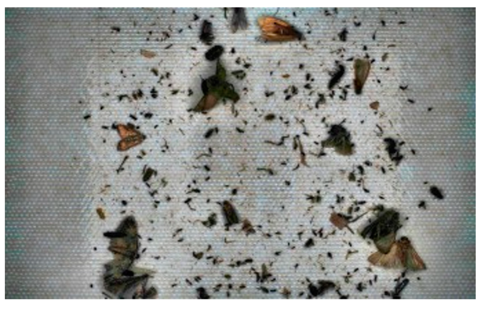 Applsci 14 05568 g006