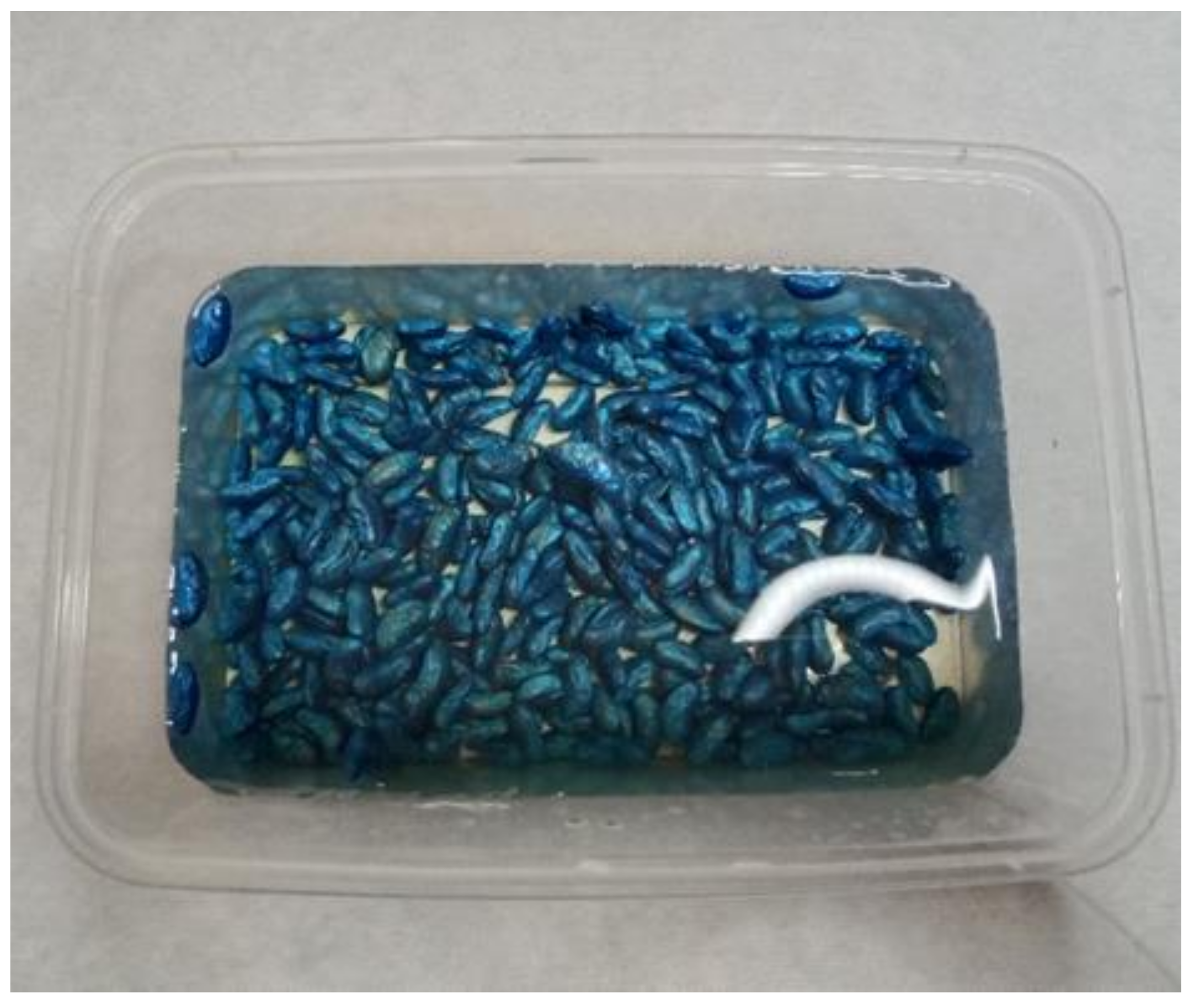 Applsci 14 05572 g001