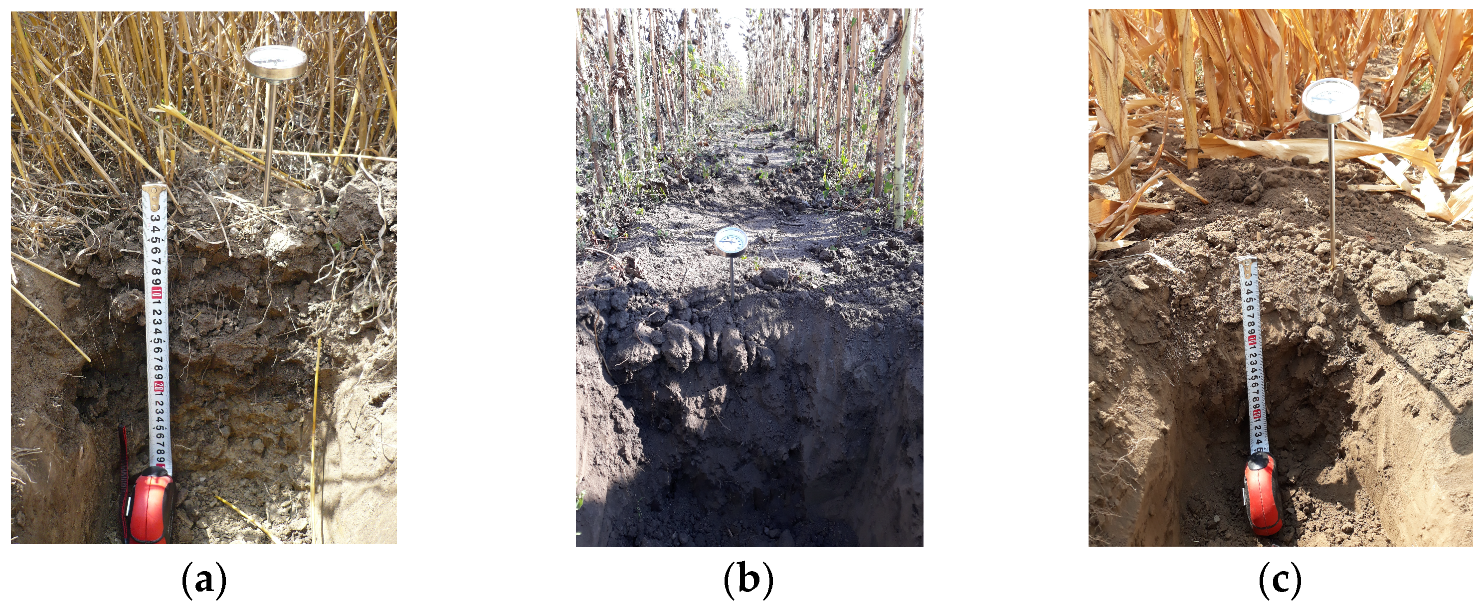 Applsci 14 05616 g002 Applsci 14 05616 g002