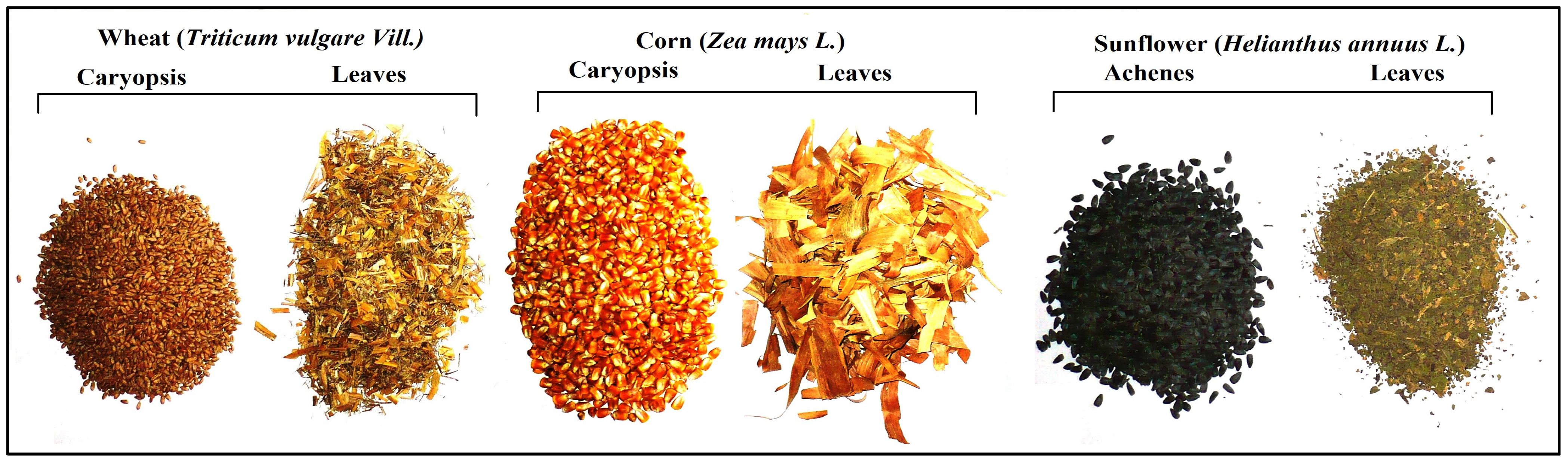 Applsci 14 05616 g003 Applsci 14 05616 g003