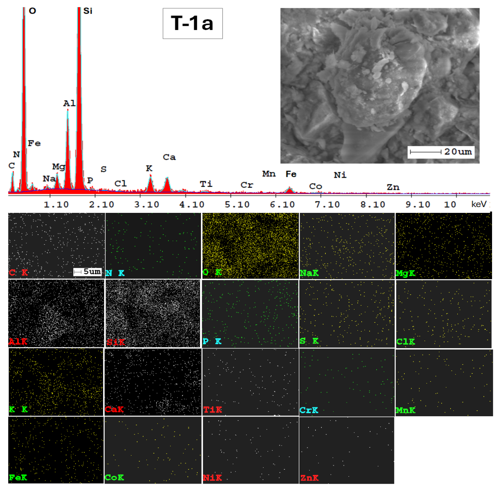 Applsci 14 05616 g0a1 Applsci 14 05616 g0a1