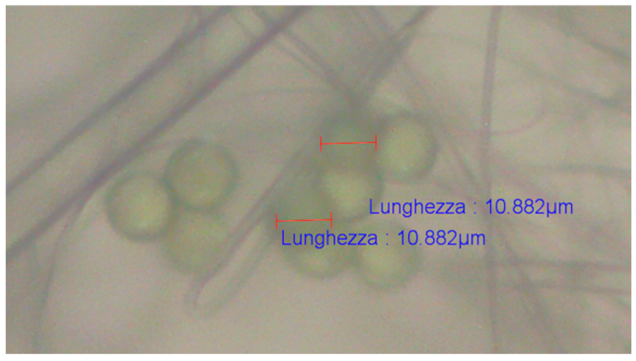 Applsci 14 05621 g001