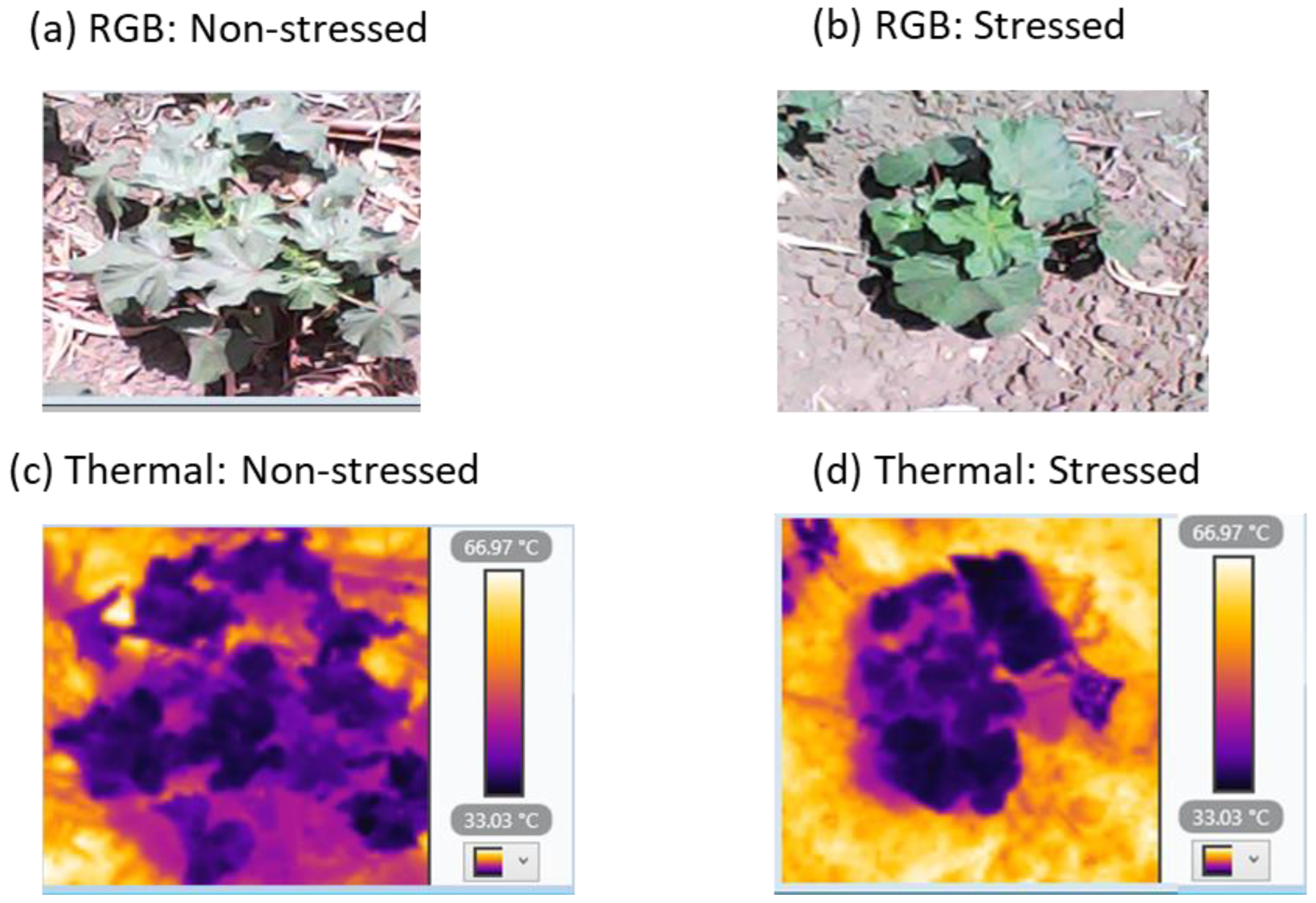 Applsci 14 05623 g002