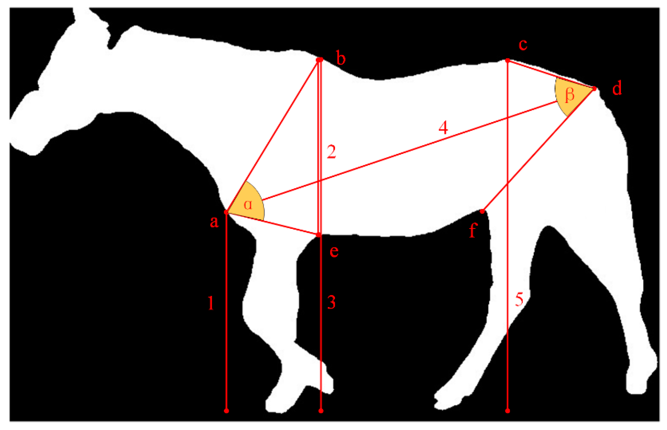 Applsci 14 05655 g005 Applsci 14 05655 g005