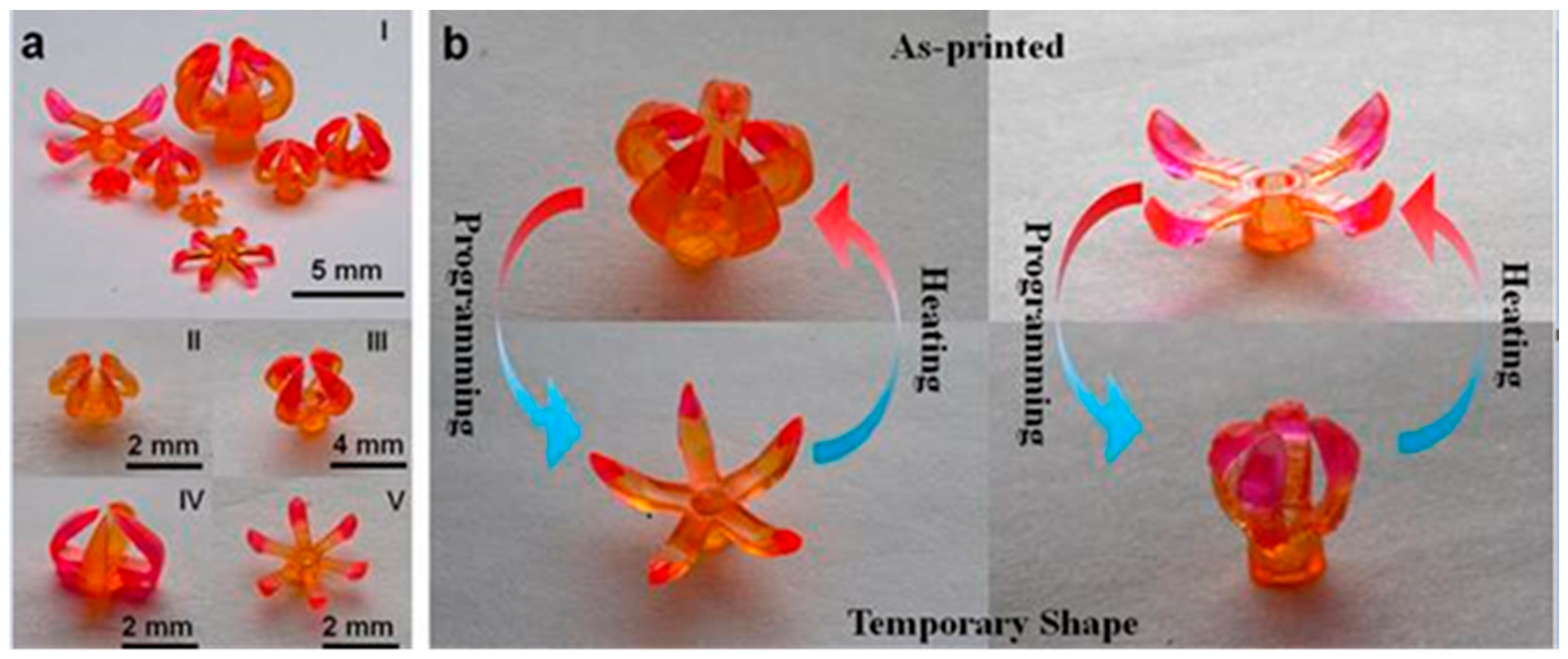 Applsci 14 05669 g002