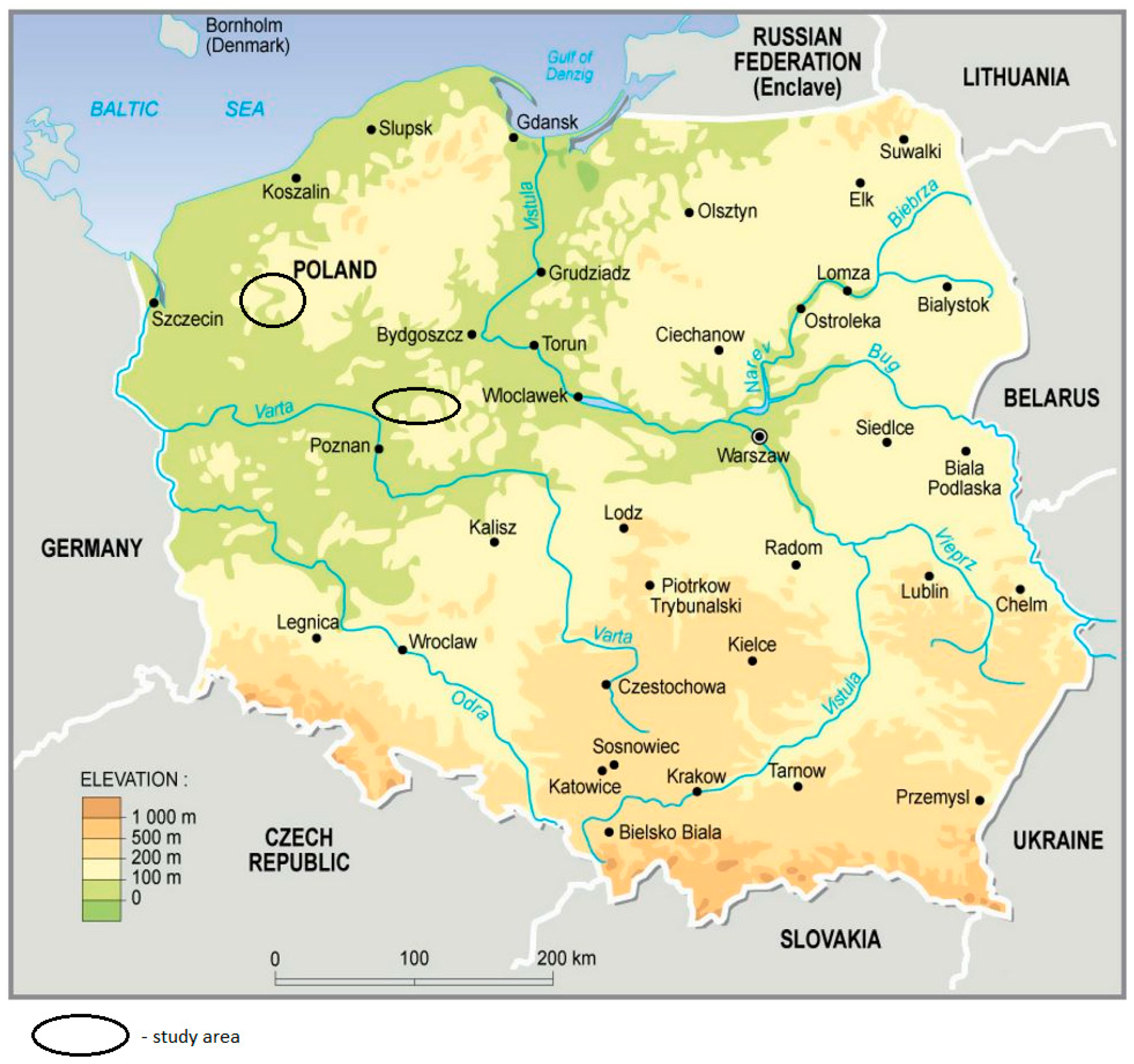 Applsci 14 05689 g001