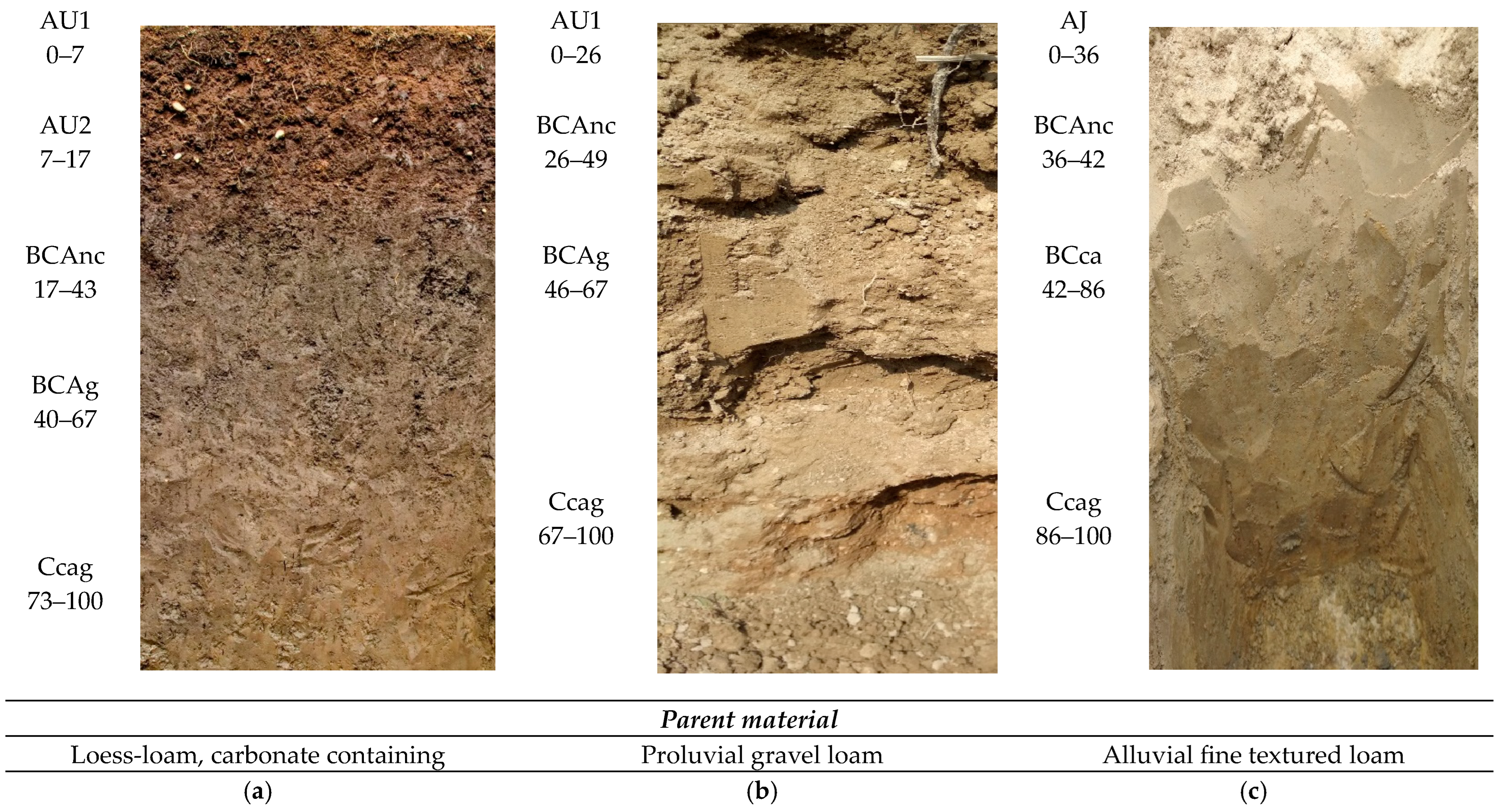 Applsci 14 05762 g002