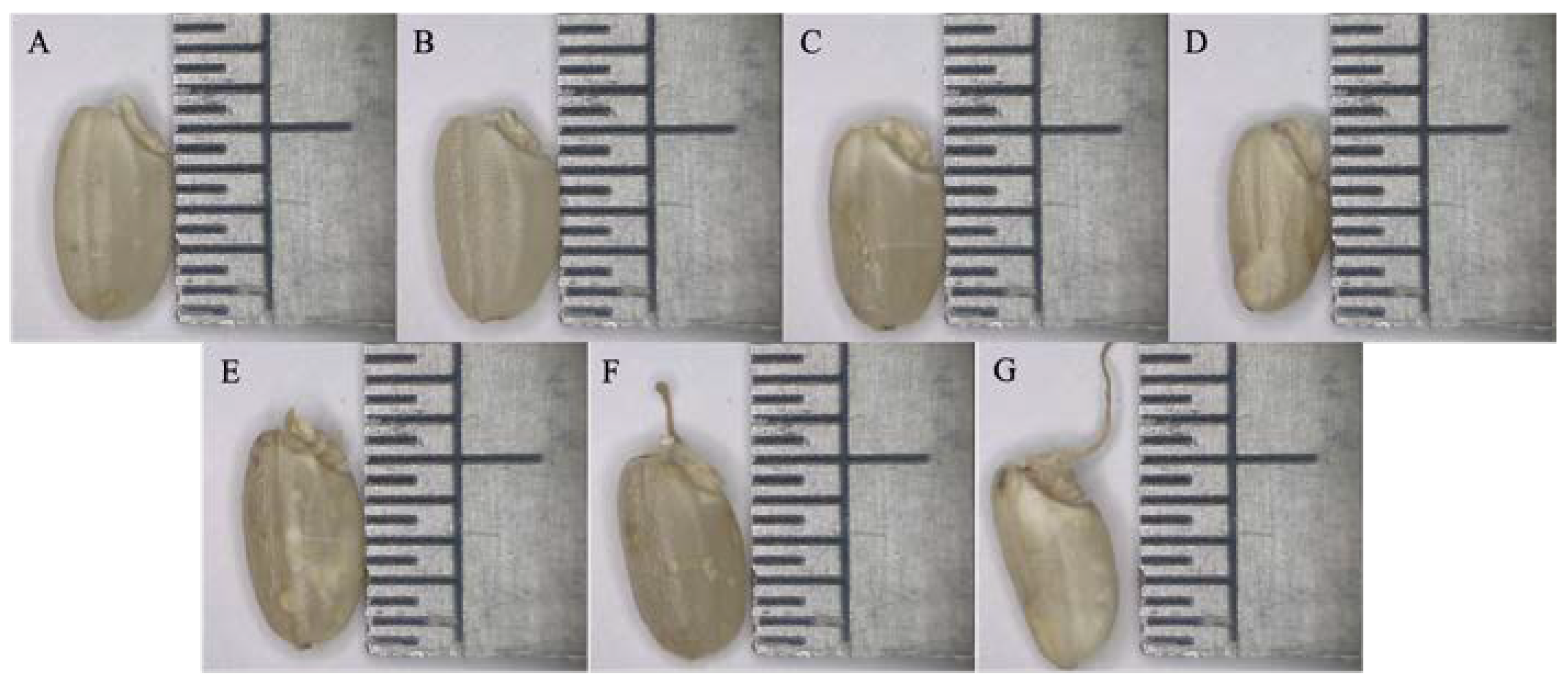 Applsci 14 05771 g002