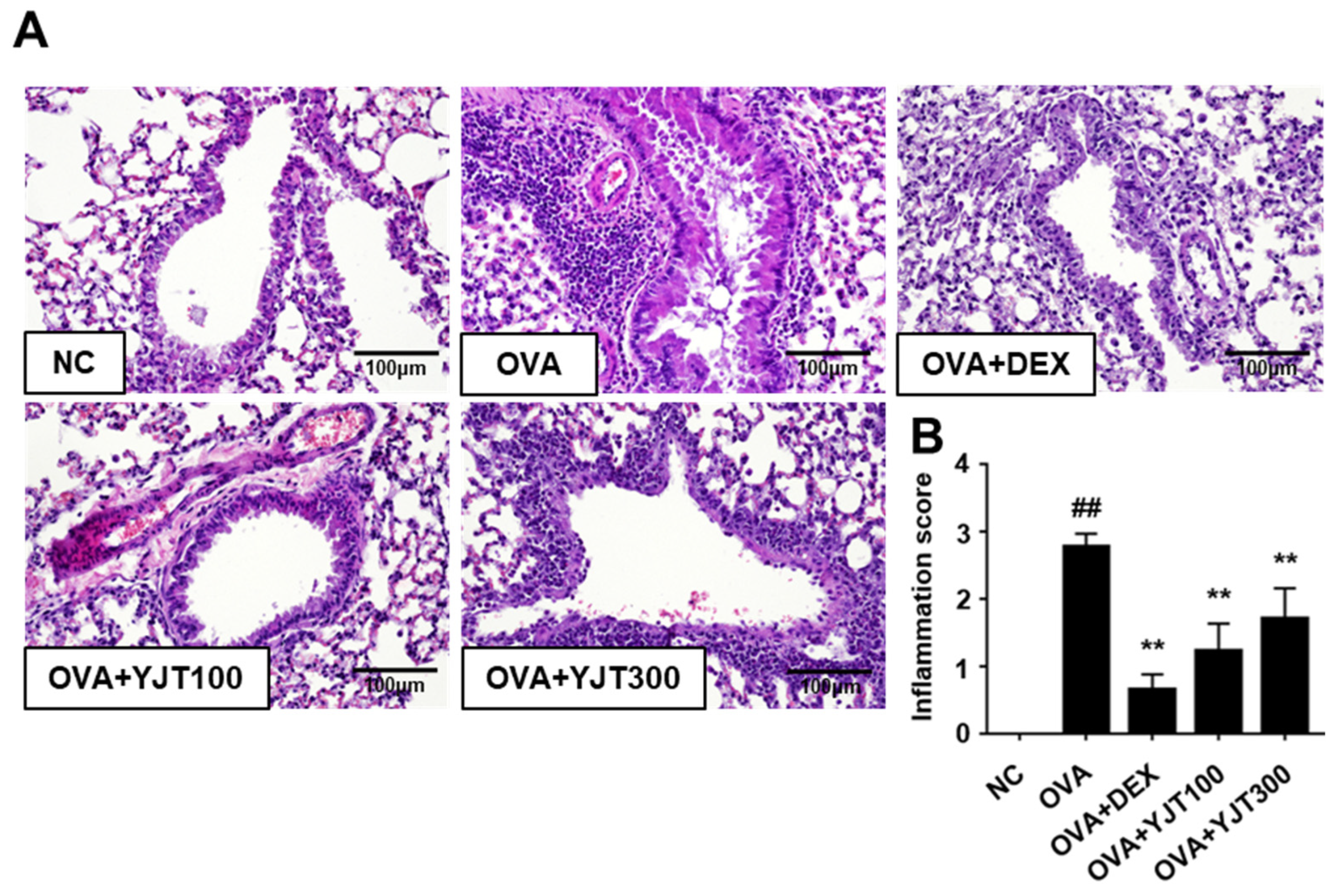 Applsci 14 05815 g003