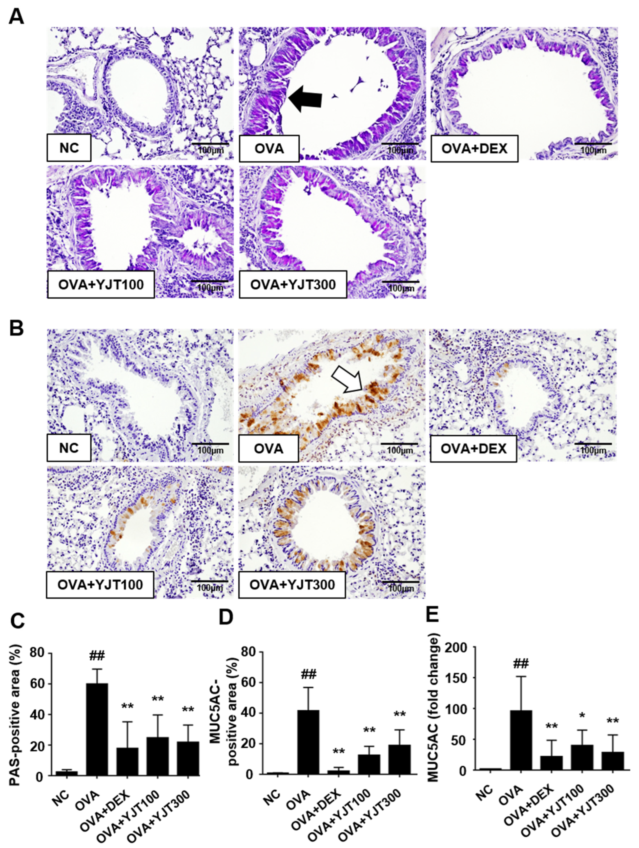 Applsci 14 05815 g006