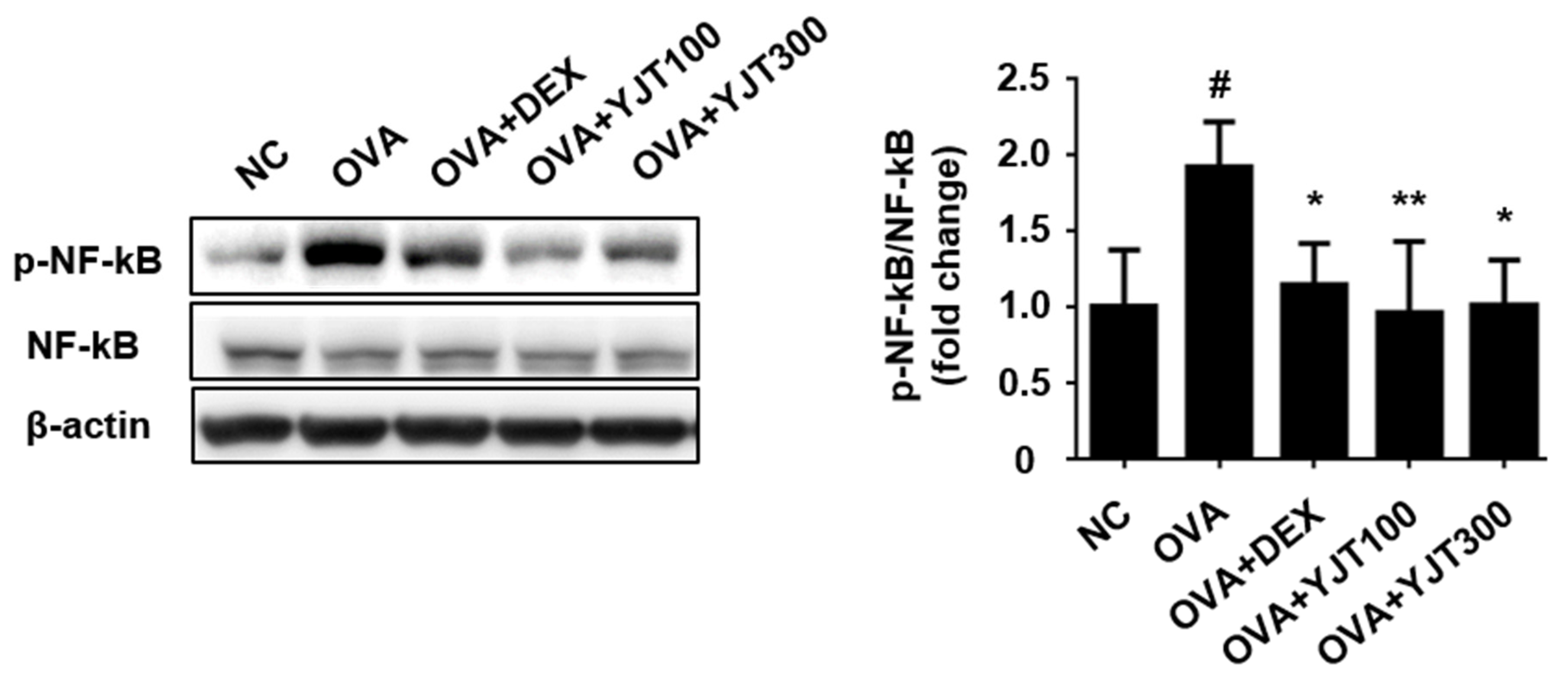 Applsci 14 05815 g008