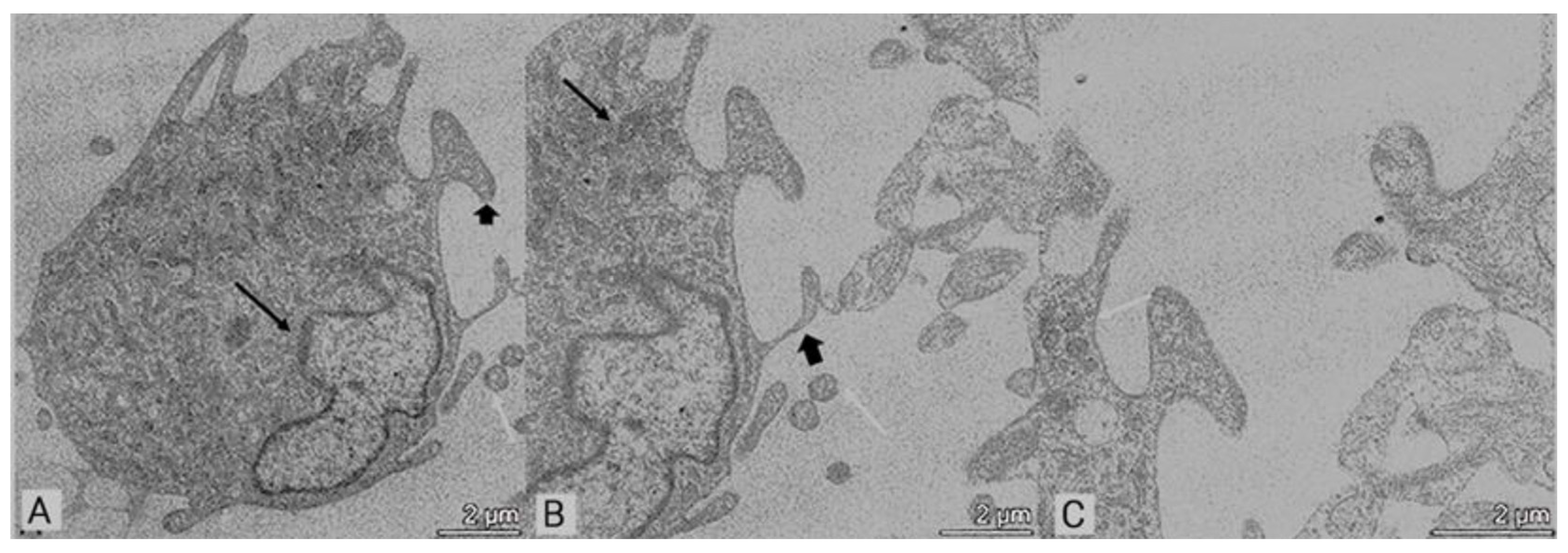 Applsci 14 05821 g006