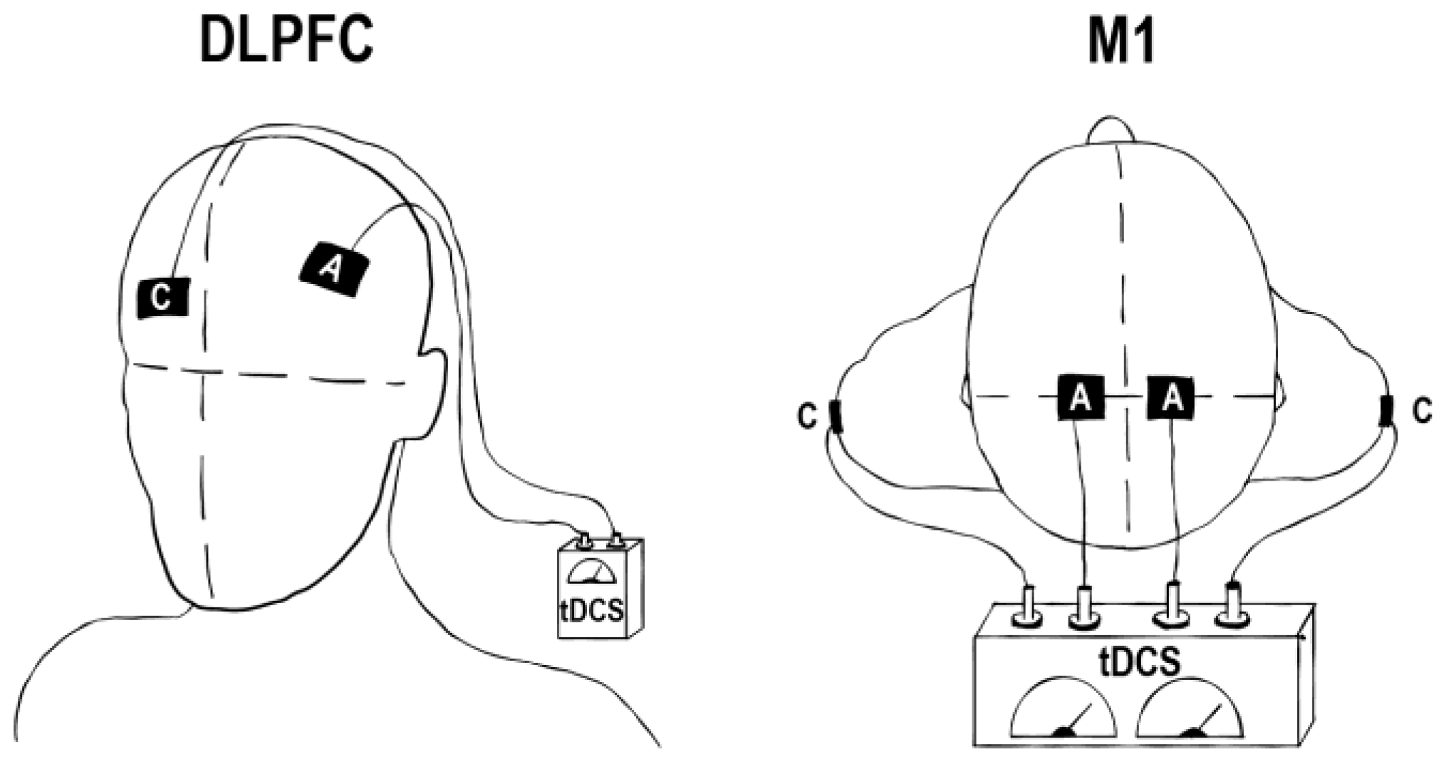 Applsci 14 05832 g001