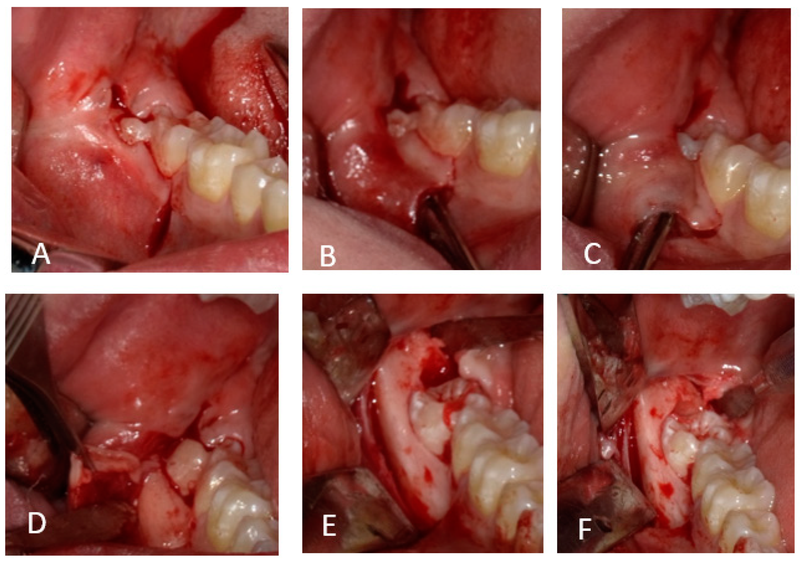 Applsci 14 05835 g002