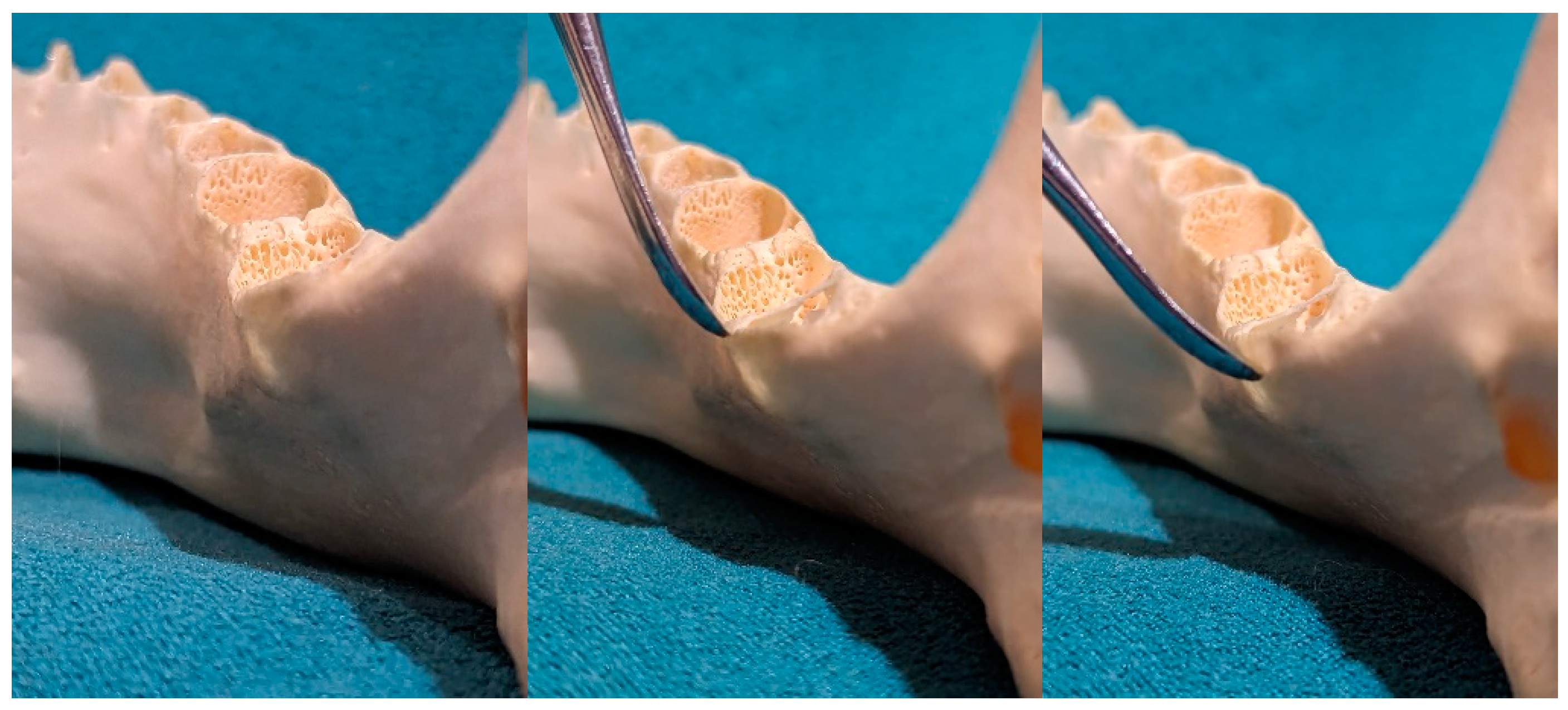 Applsci 14 05835 g004