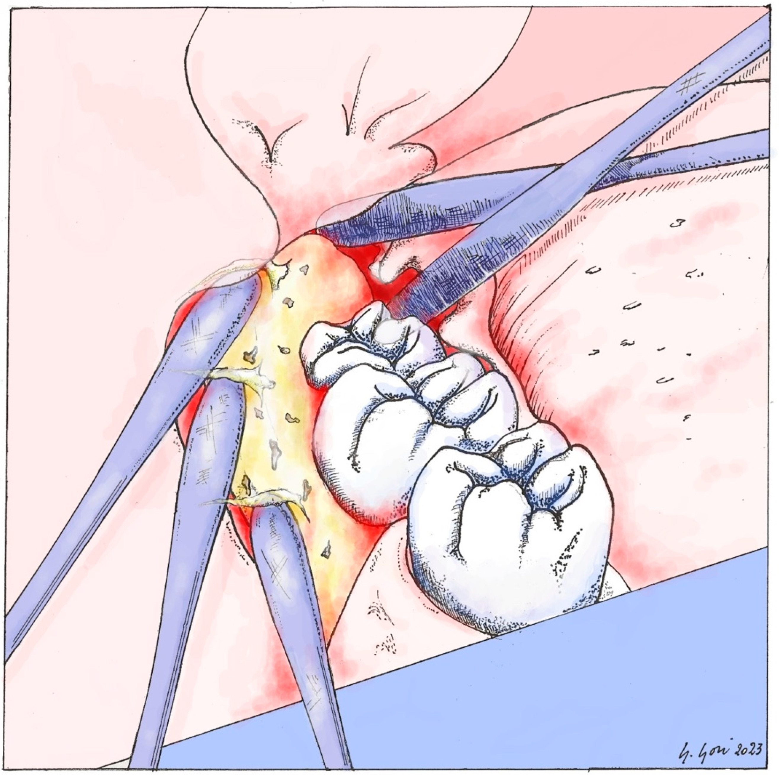 Applsci 14 05835 g006