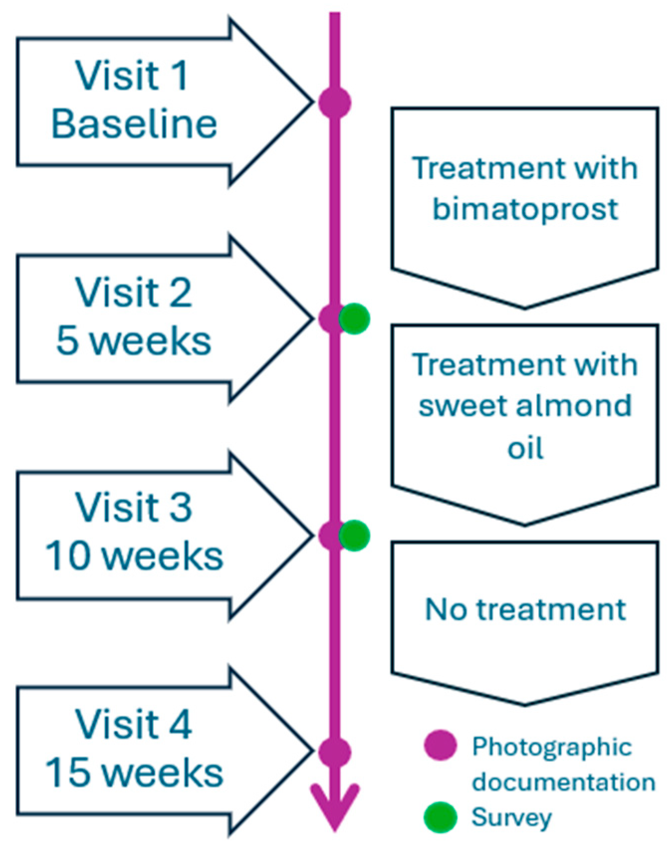 Applsci 14 05848 g002