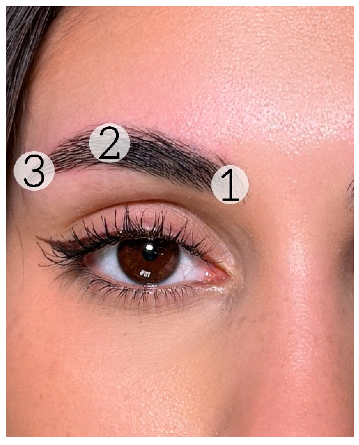 Applsci 14 05848 g003