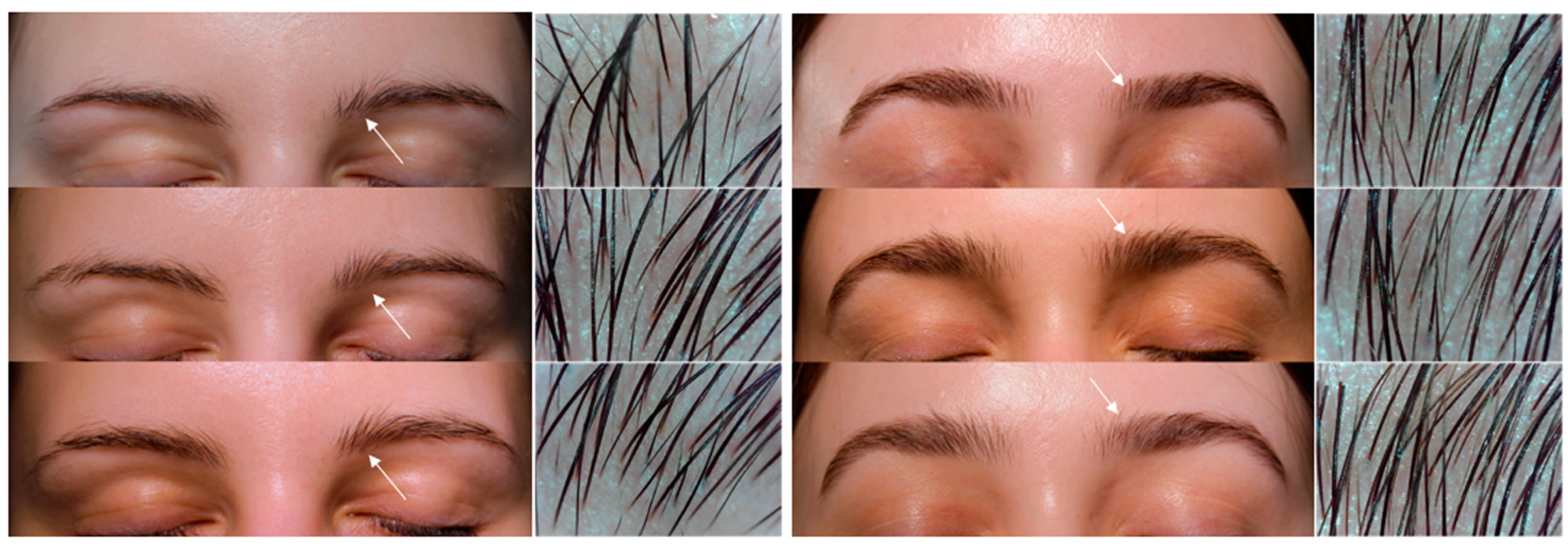 Applsci 14 05848 g004