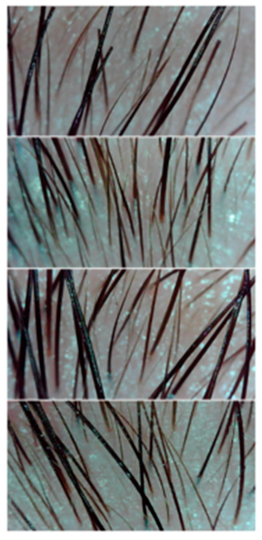 Applsci 14 05848 g006