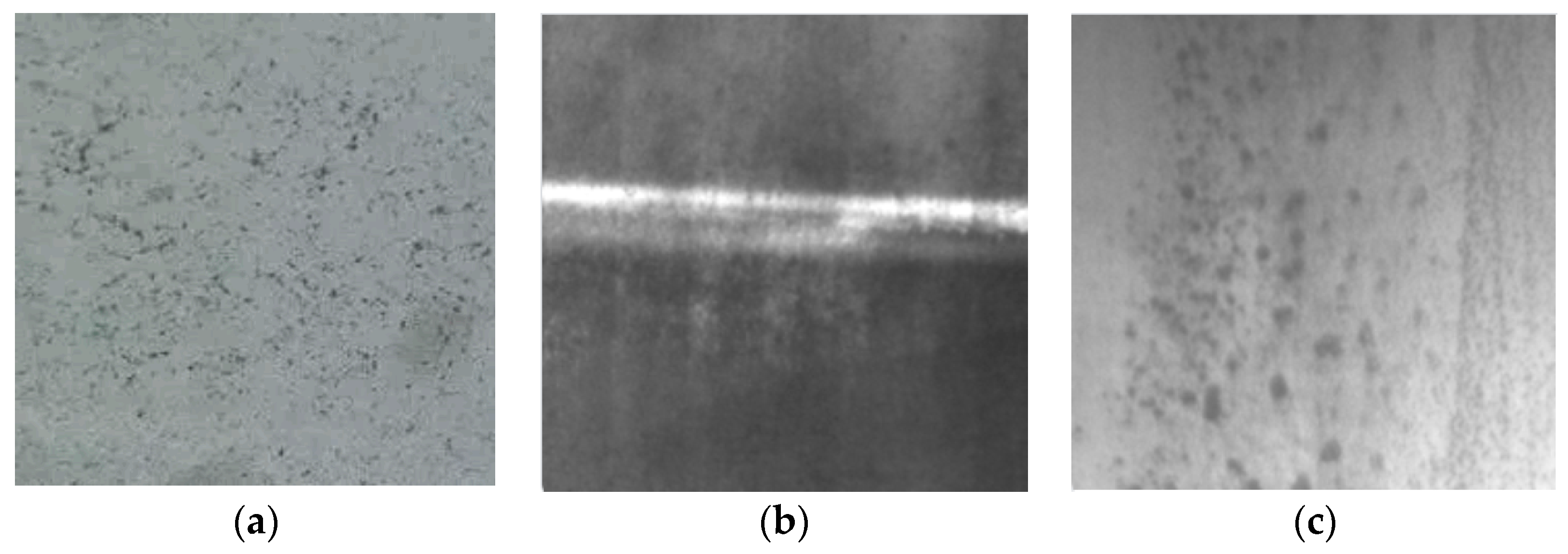 Applsci 14 05849 g015