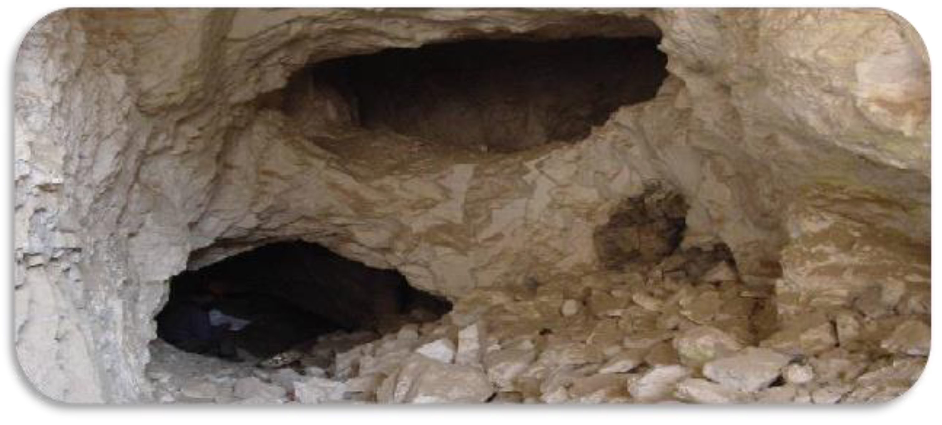 Applsci 14 05851 g001