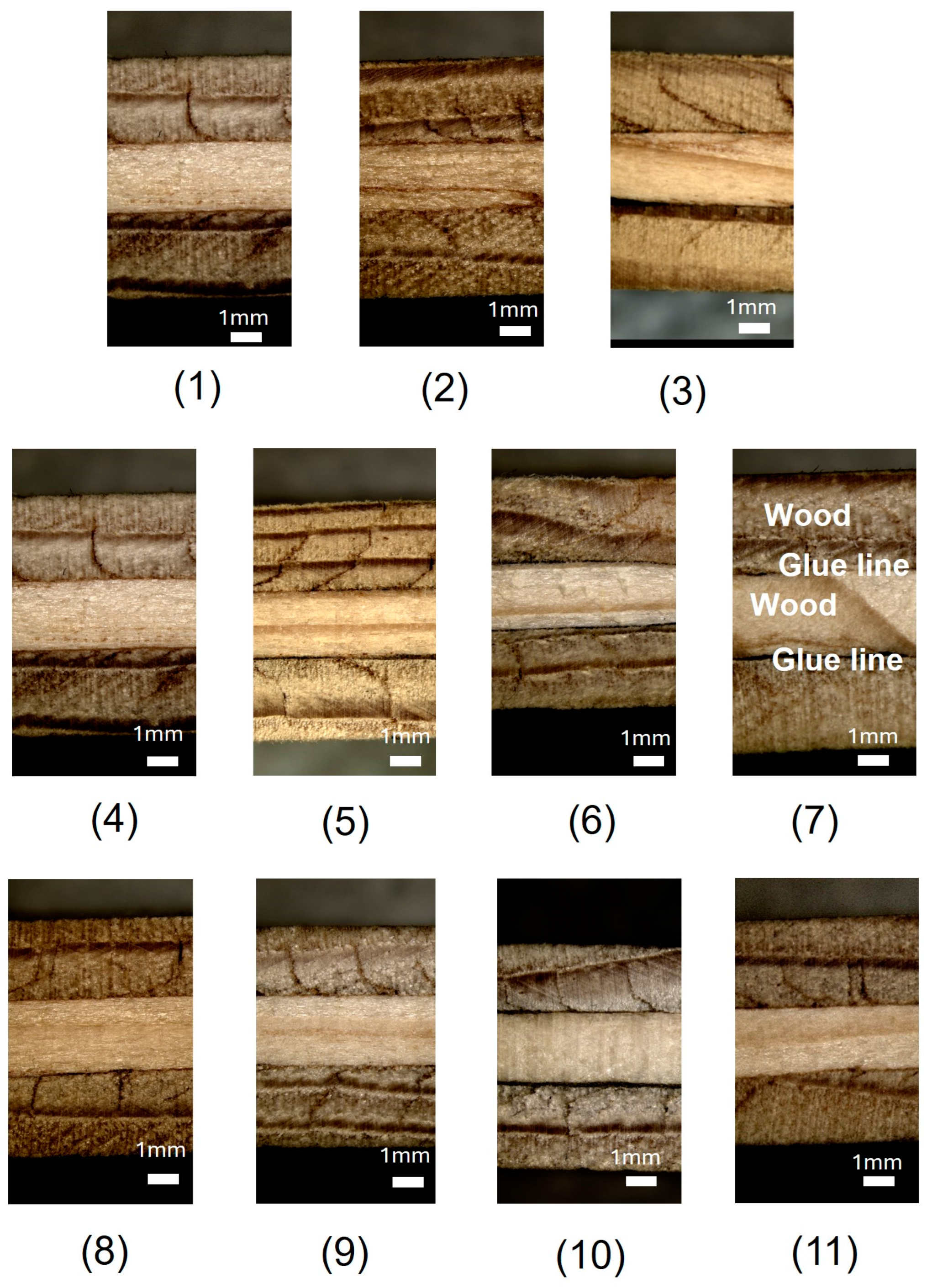 Applsci 14 05862 g004