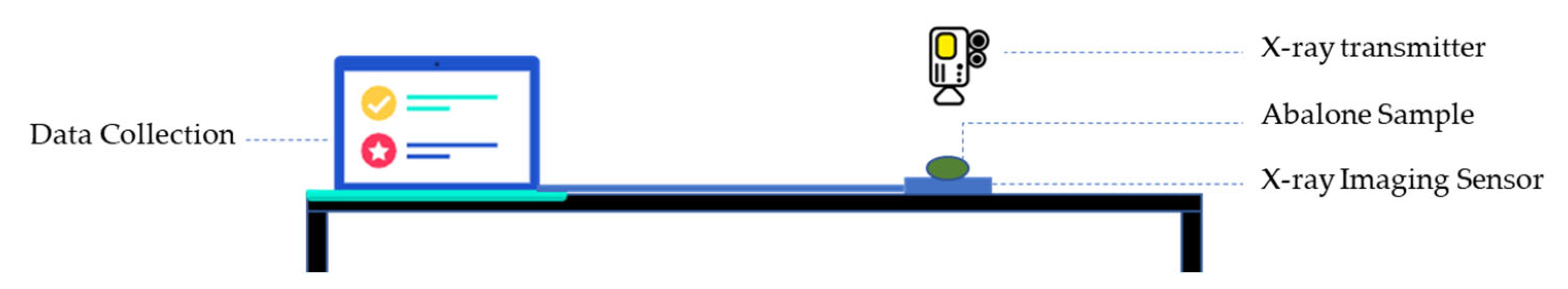 Applsci 14 05894 g001