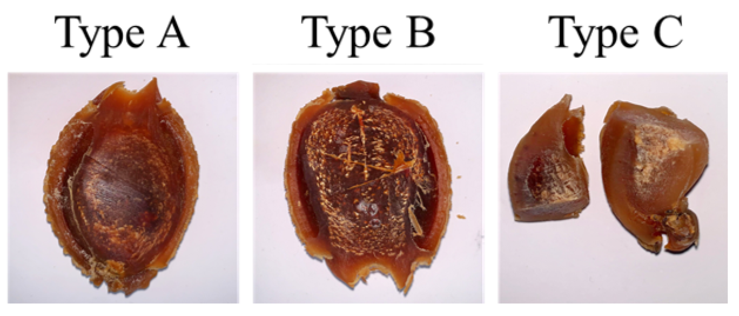 Applsci 14 05894 g004