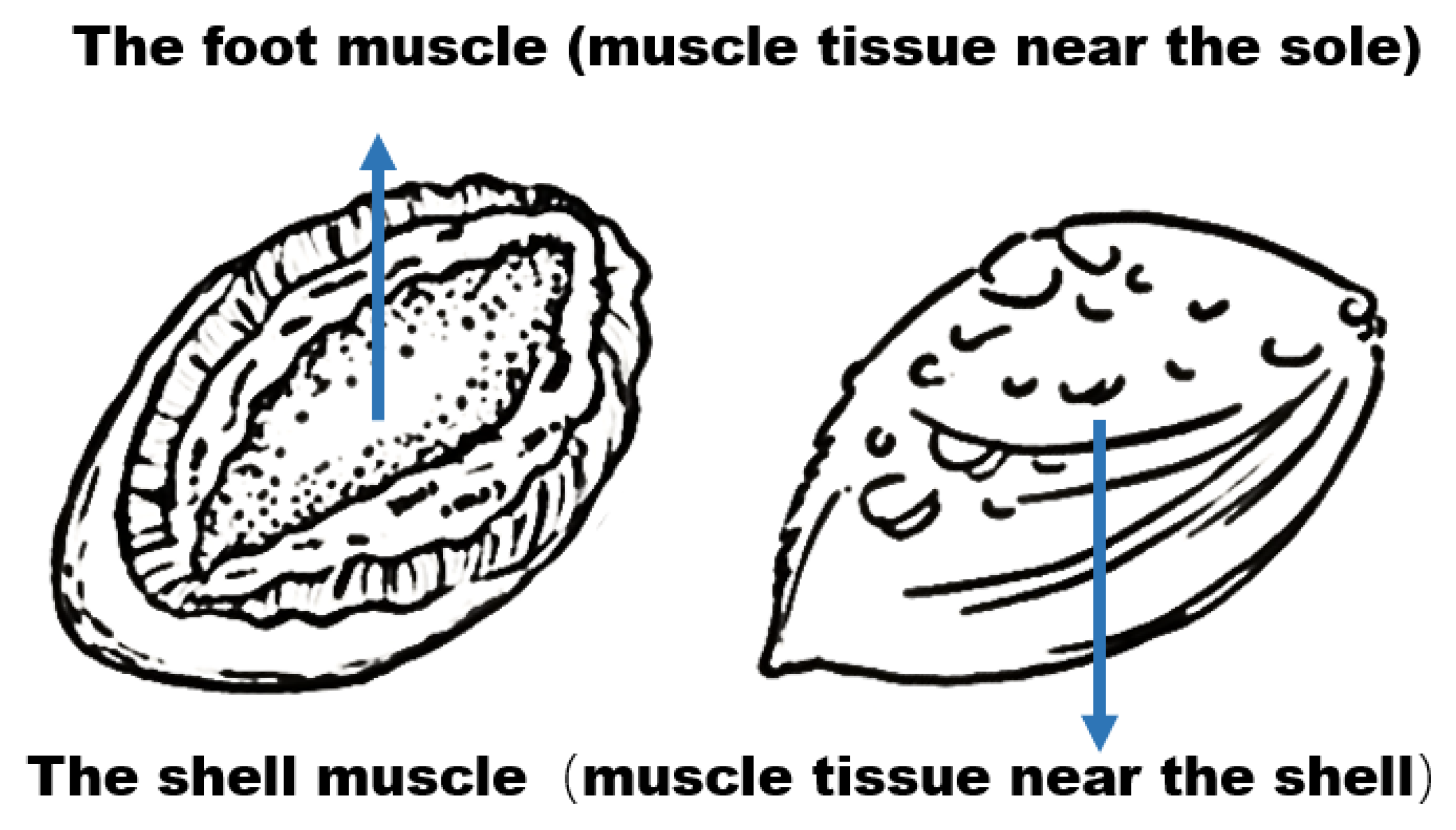 Applsci 14 05894 g005