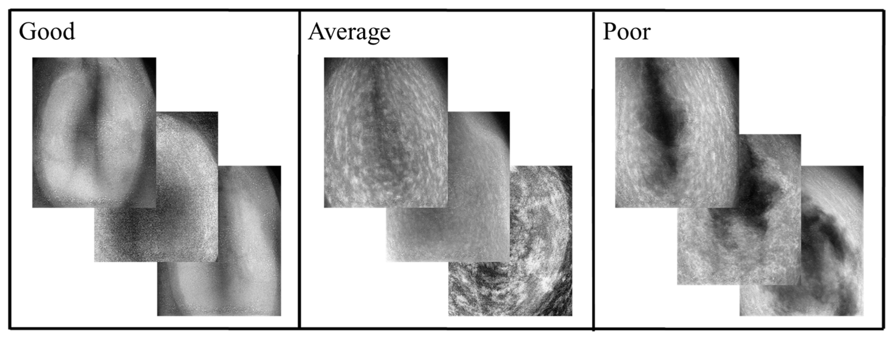 Applsci 14 05894 g007