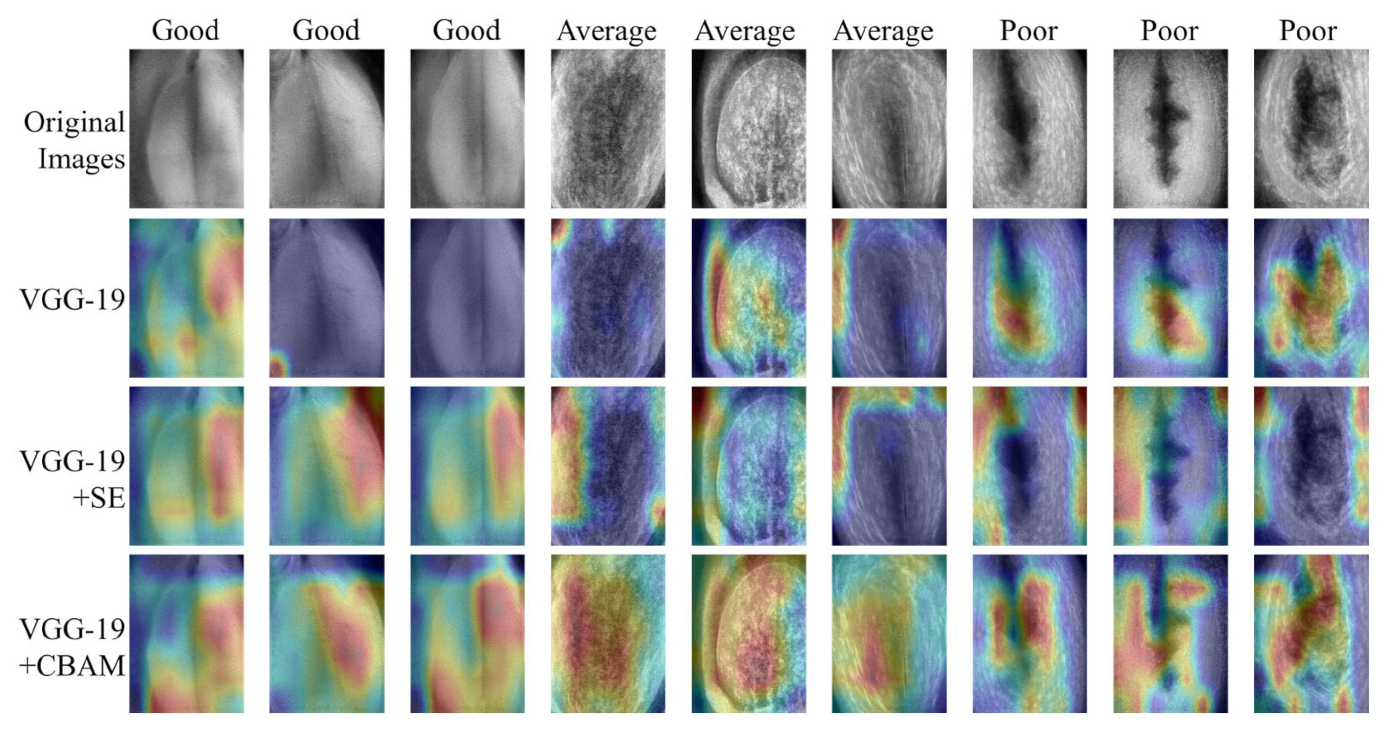 Applsci 14 05894 g011