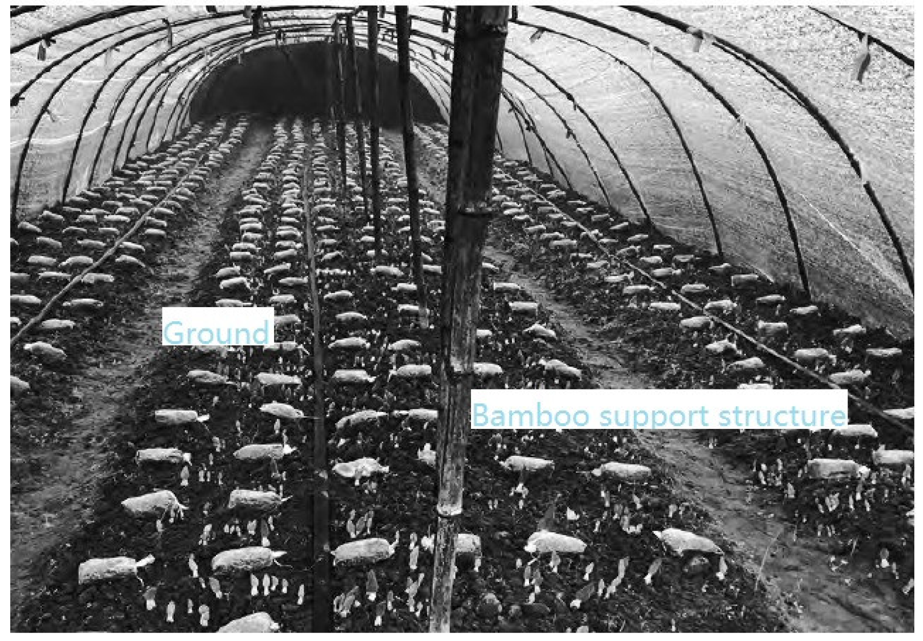 Applsci 14 05952 g008