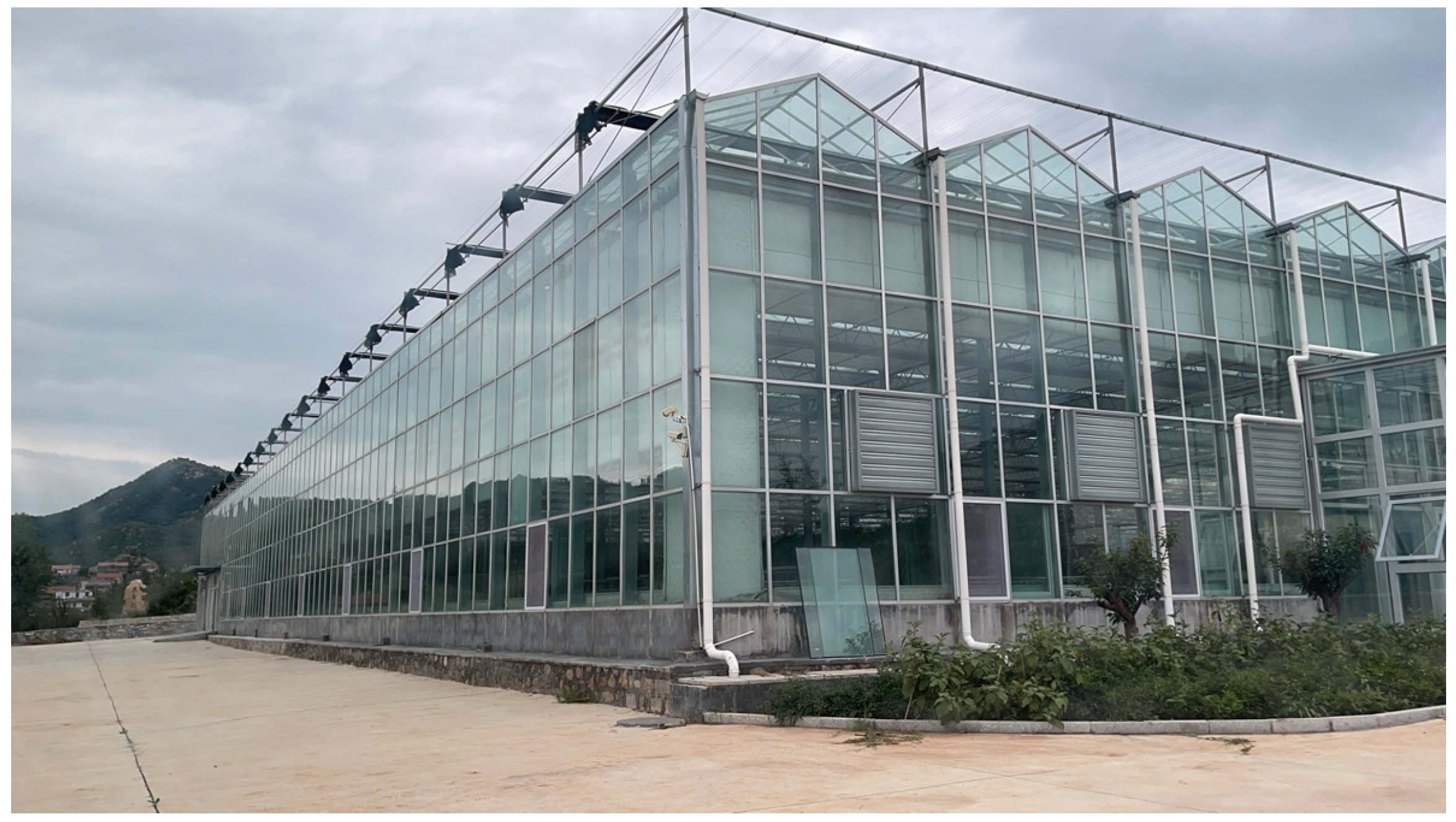 Applsci 14 05952 g011