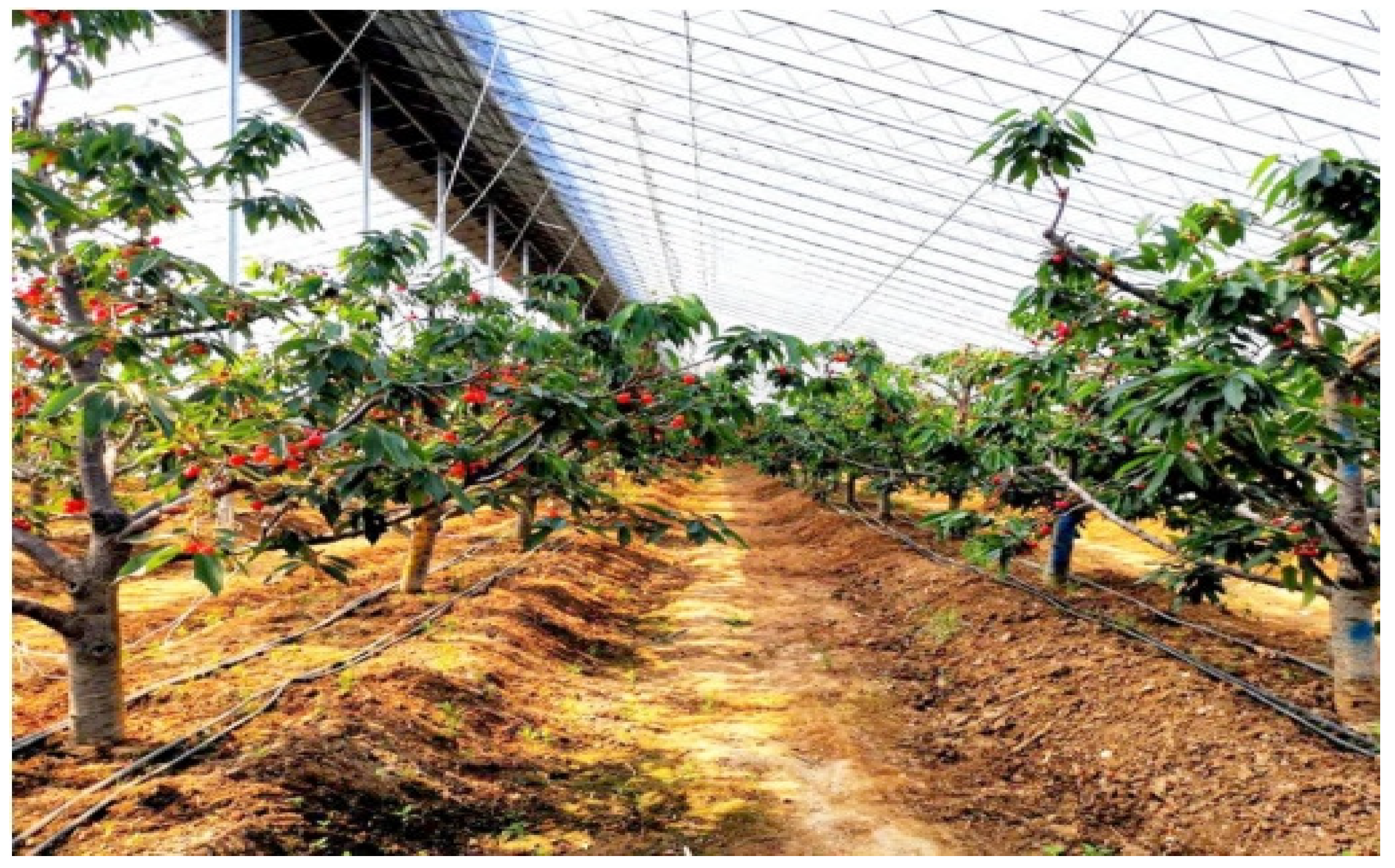 Applsci 14 05952 g013