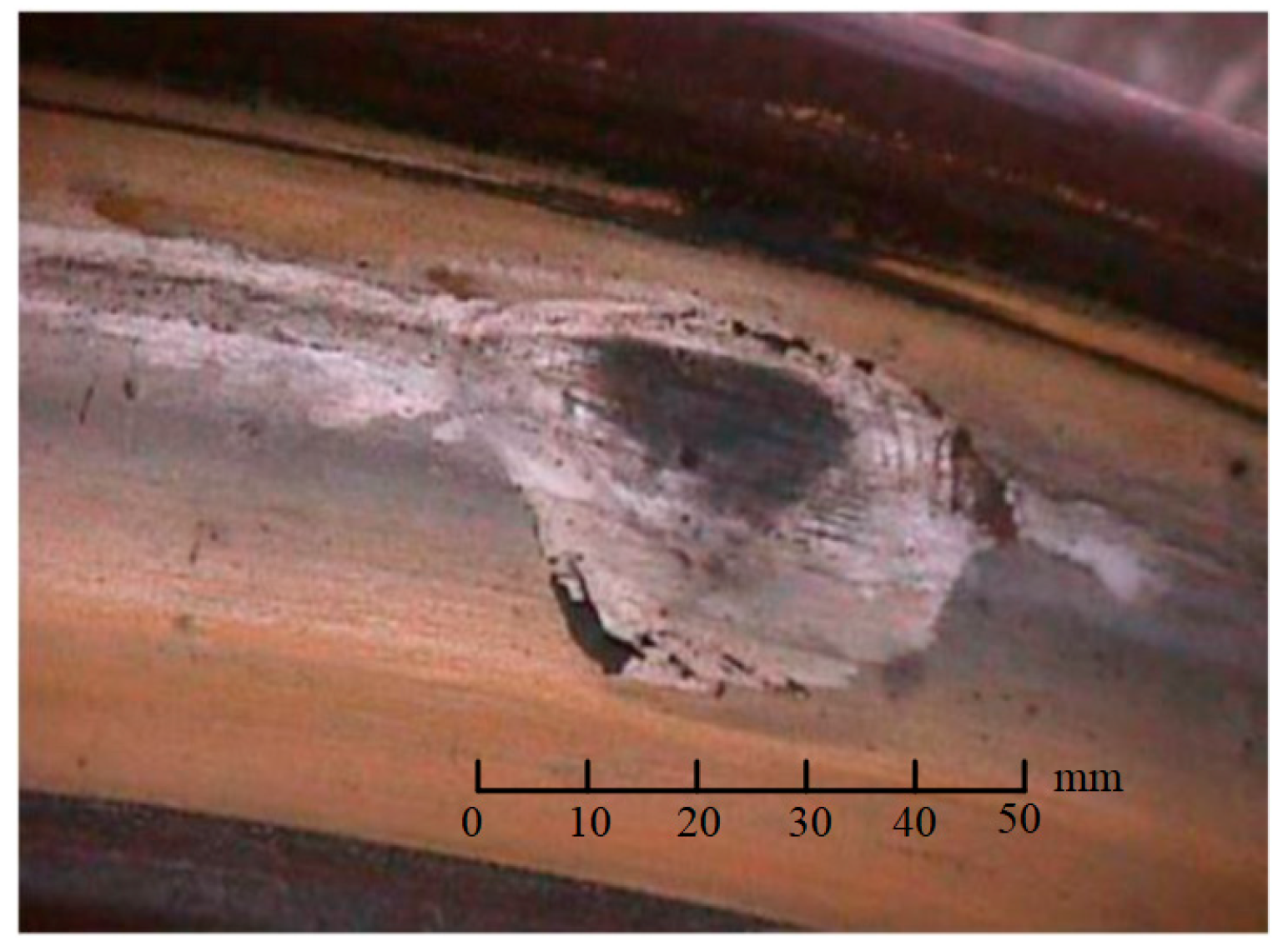 Applsci 14 05956 g001