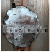 Applsci 14 05956 i003