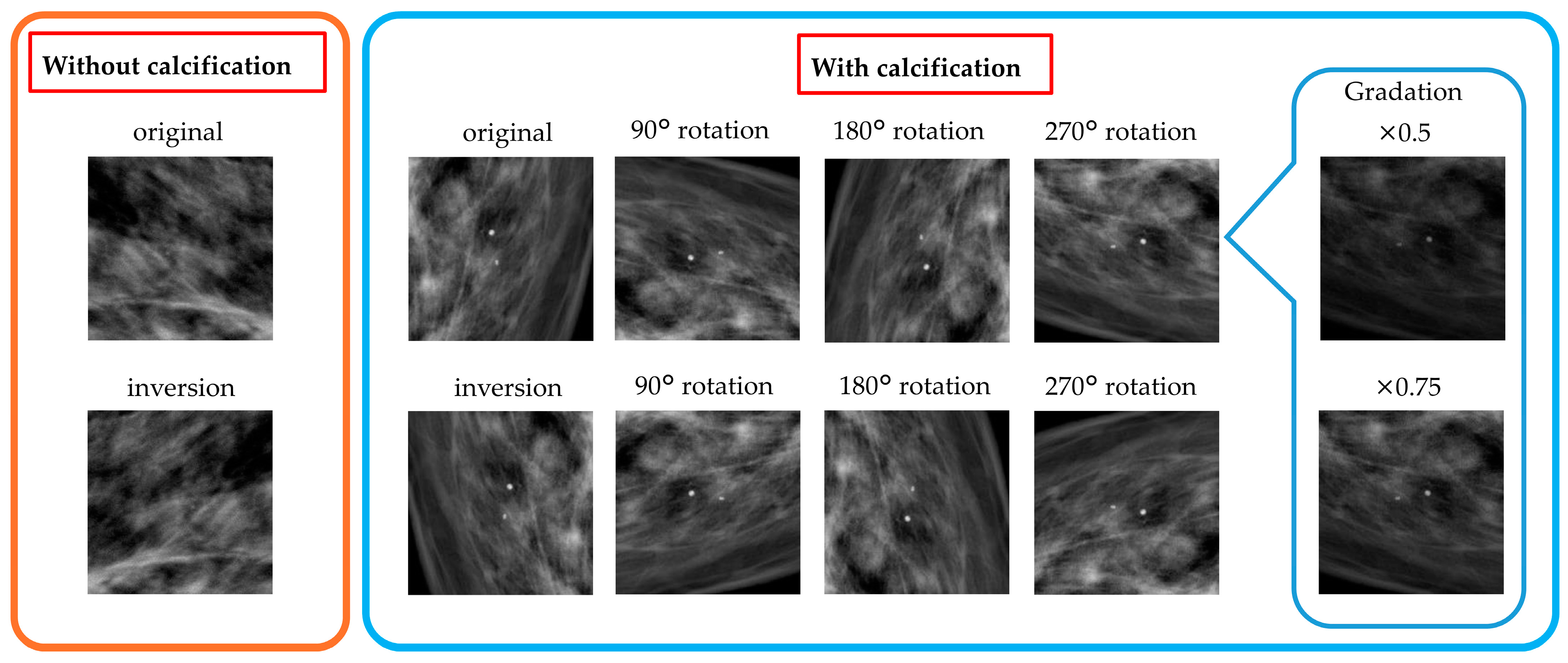 Applsci 14 05968 g001